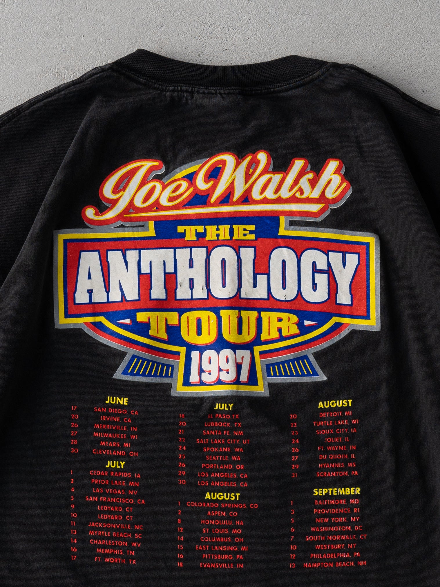 Vintage 97' Black Joe Walsh Anthology Tour Tee (L)