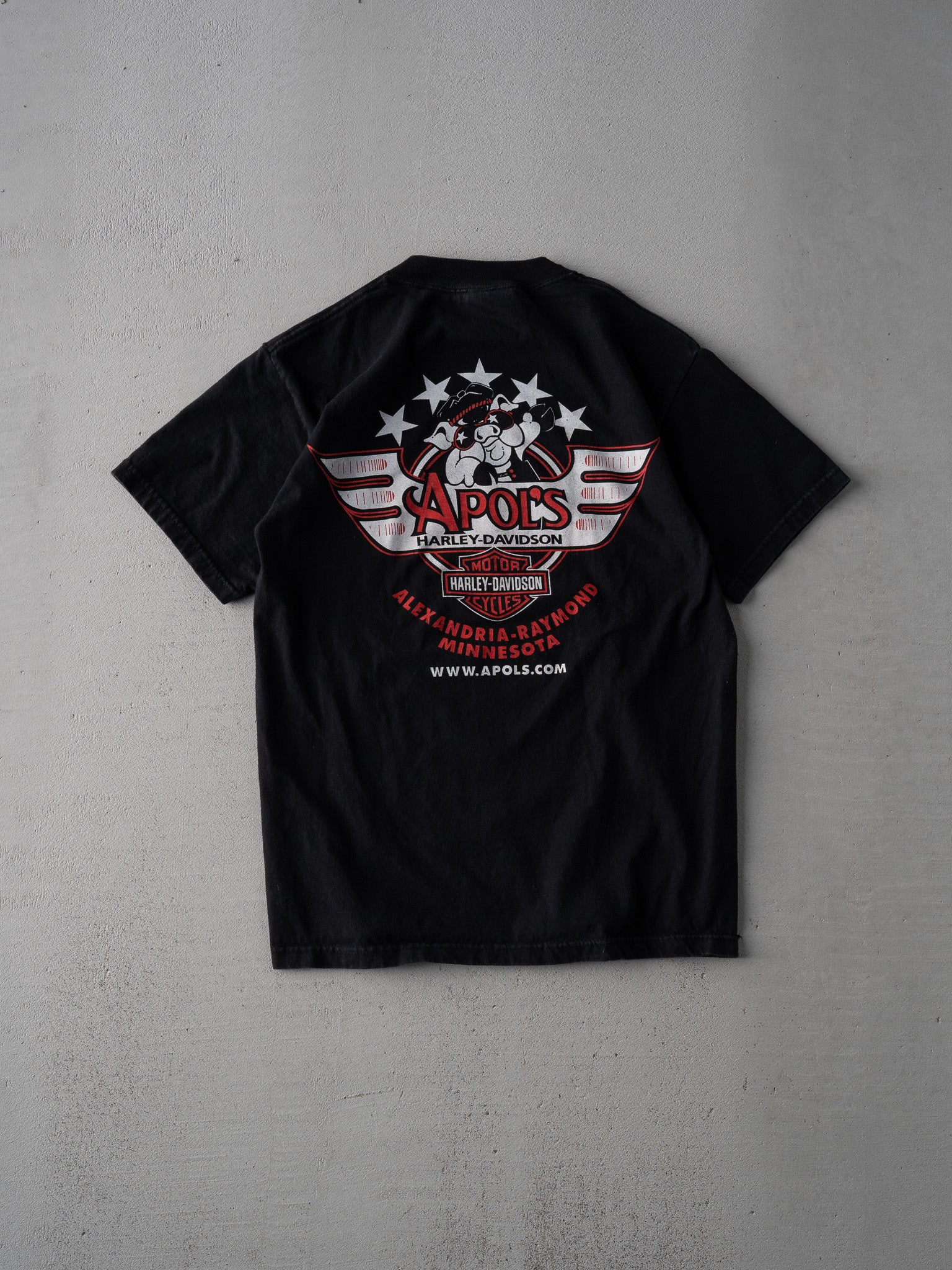 Vintage 06' Black Harley Davidson Apols Minnesota Tee (XS)