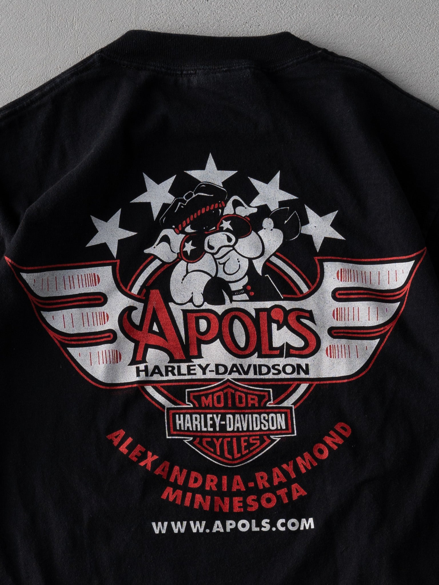 Vintage 06' Black Harley Davidson Apols Minnesota Tee (XS)