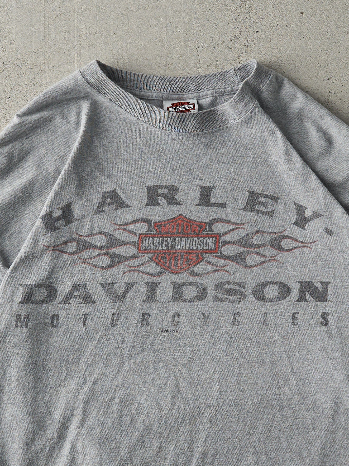 Vintage 12' Grey Alexandria-Raymond Minnesota Harley Davidson Long Sleeve (L)