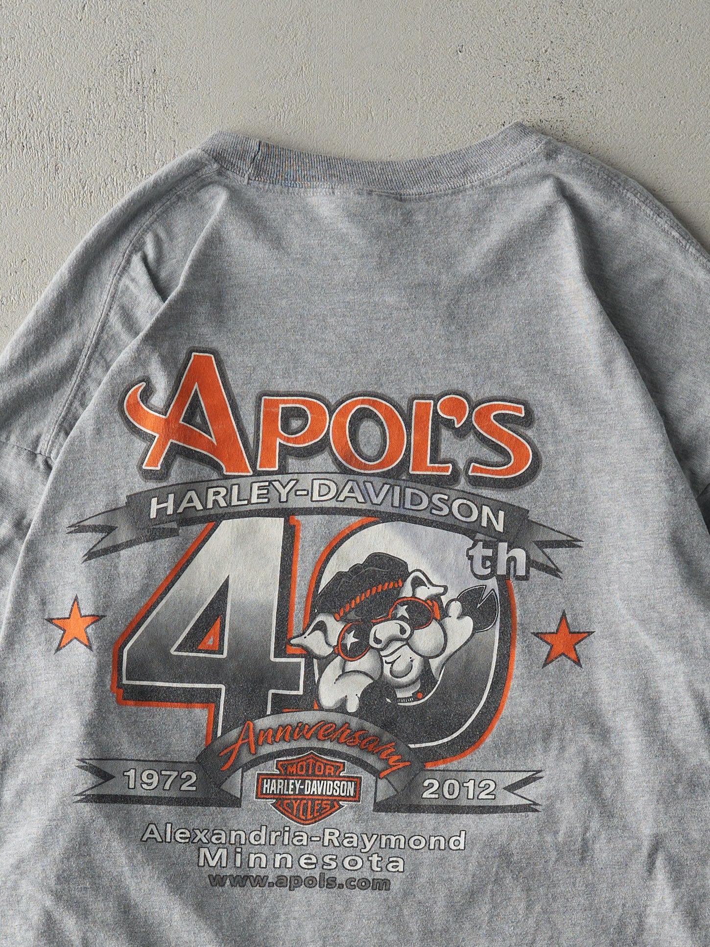 Vintage 12' Grey Alexandria-Raymond Minnesota Harley Davidson Long Sleeve (L)