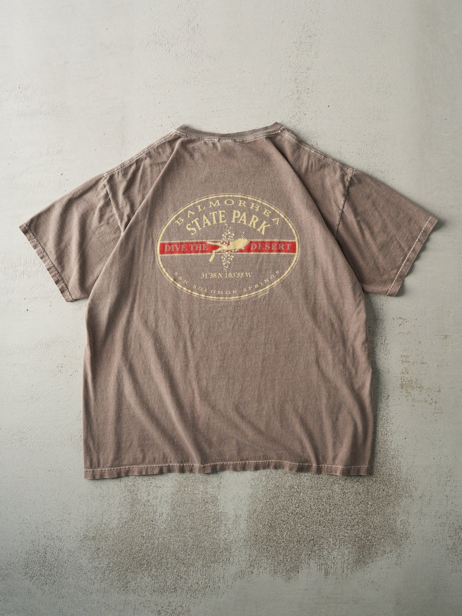 Vintage 04' Washed Brown Balmorhea State Park Tee (L)