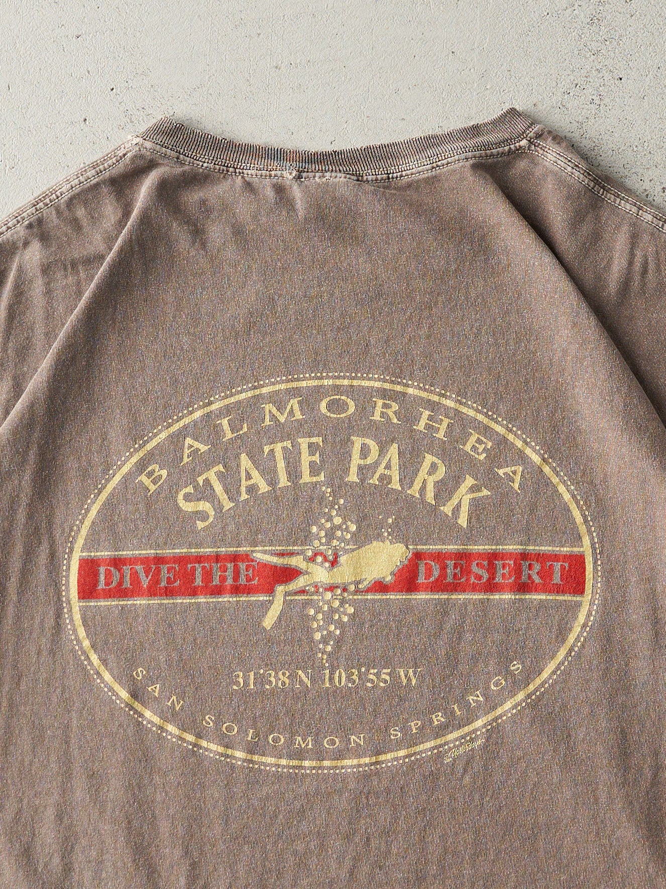Vintage 04' Washed Brown Balmorhea State Park Tee (L)