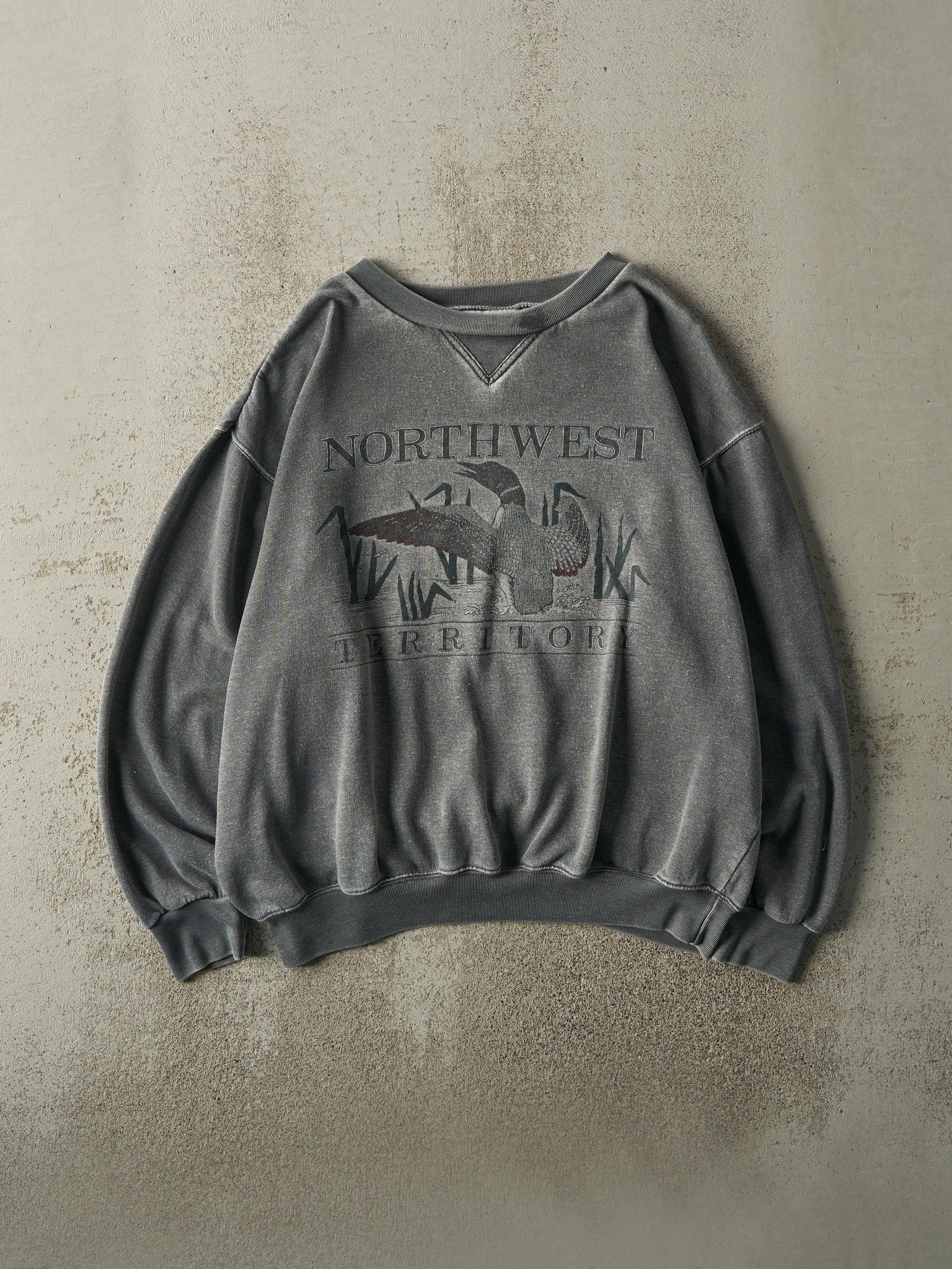 Vintage 90s Washed Grey Northwest Territory Boxy Crewneck (M/L)