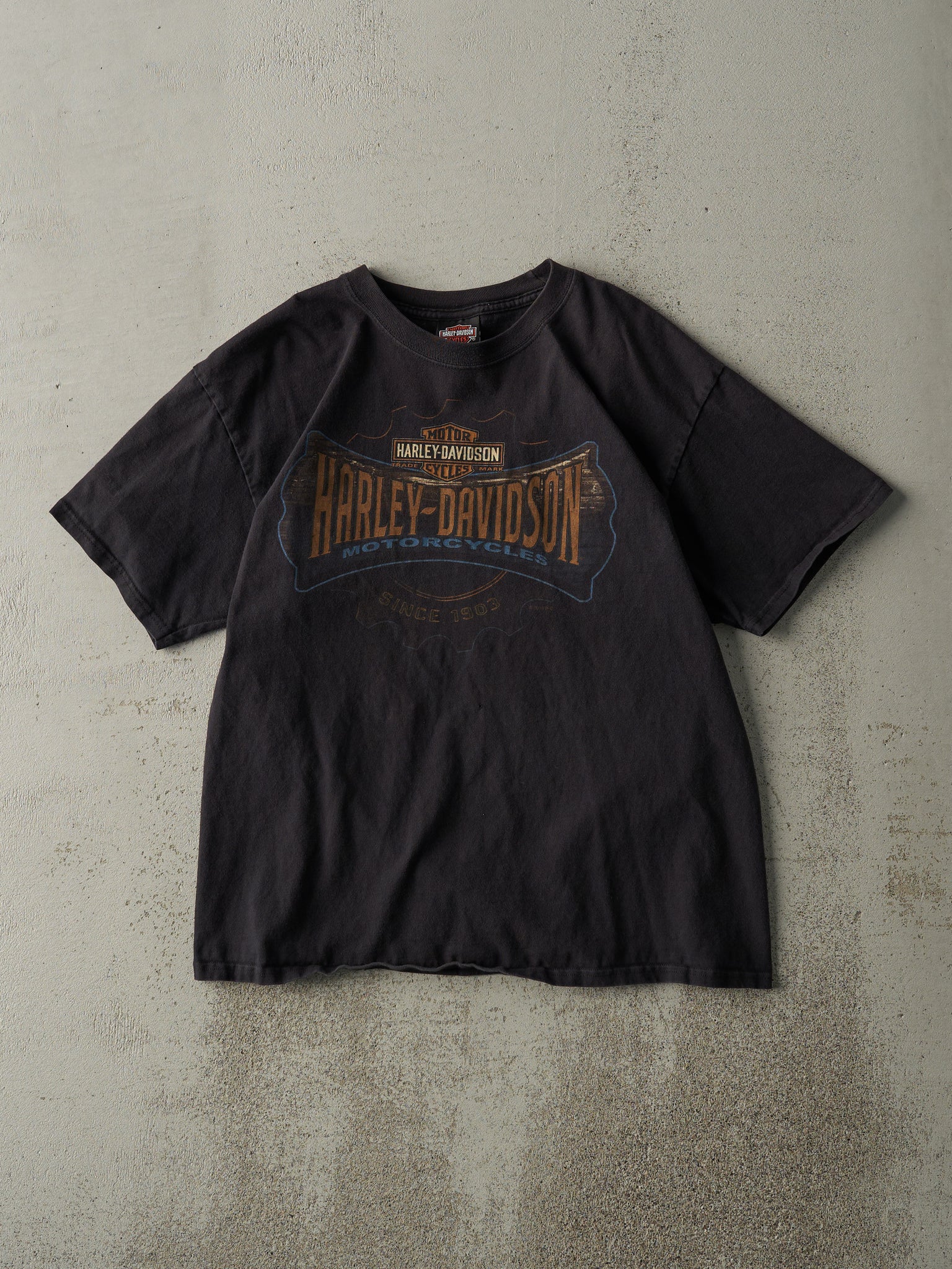 Vintage 10' Kingston Ontario Feel the Freedom Harley Davidson Tee (M)