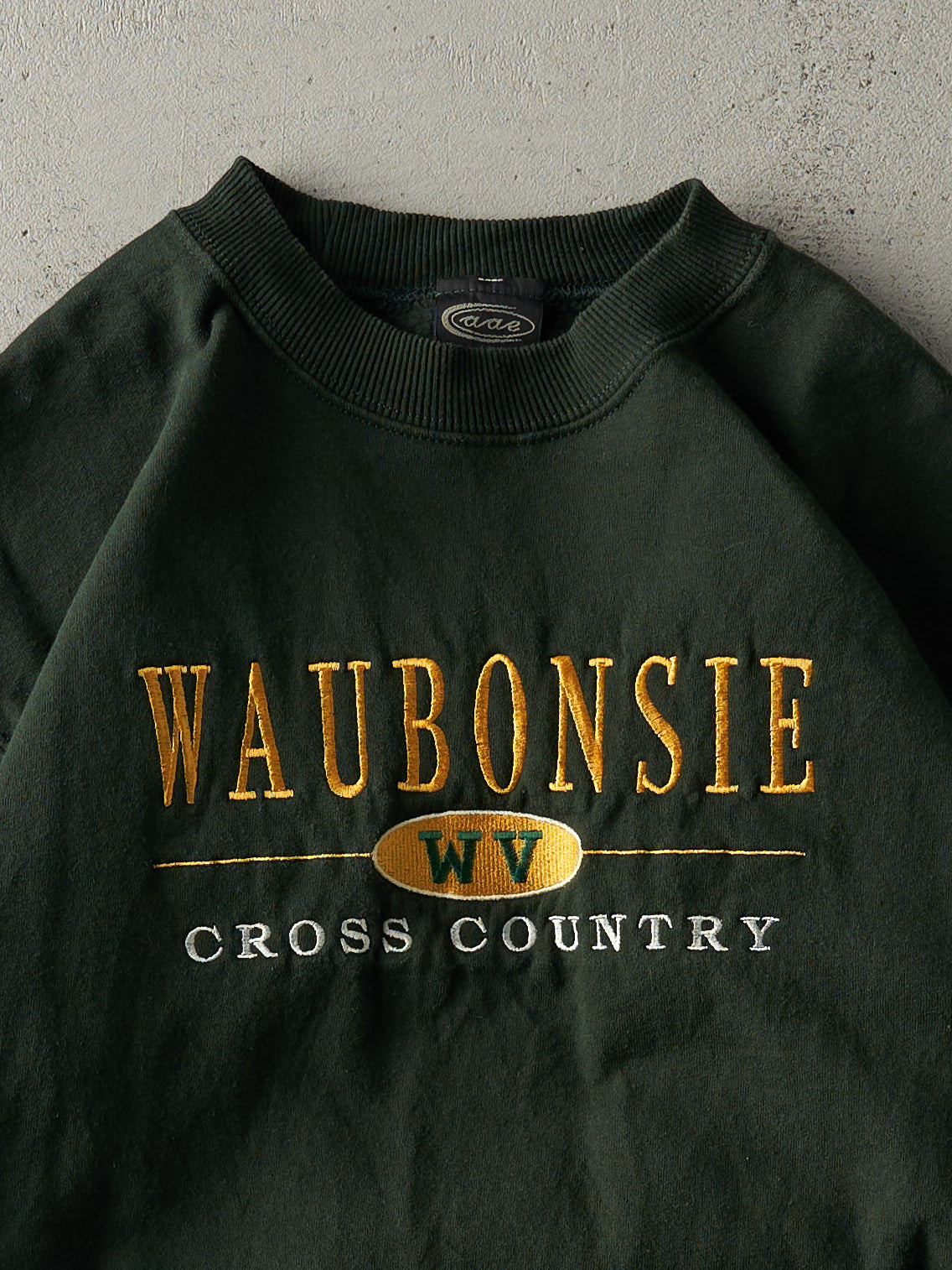 Vintage 90s Green Embroidered Waubonsie Cross Country Crewneck (M)