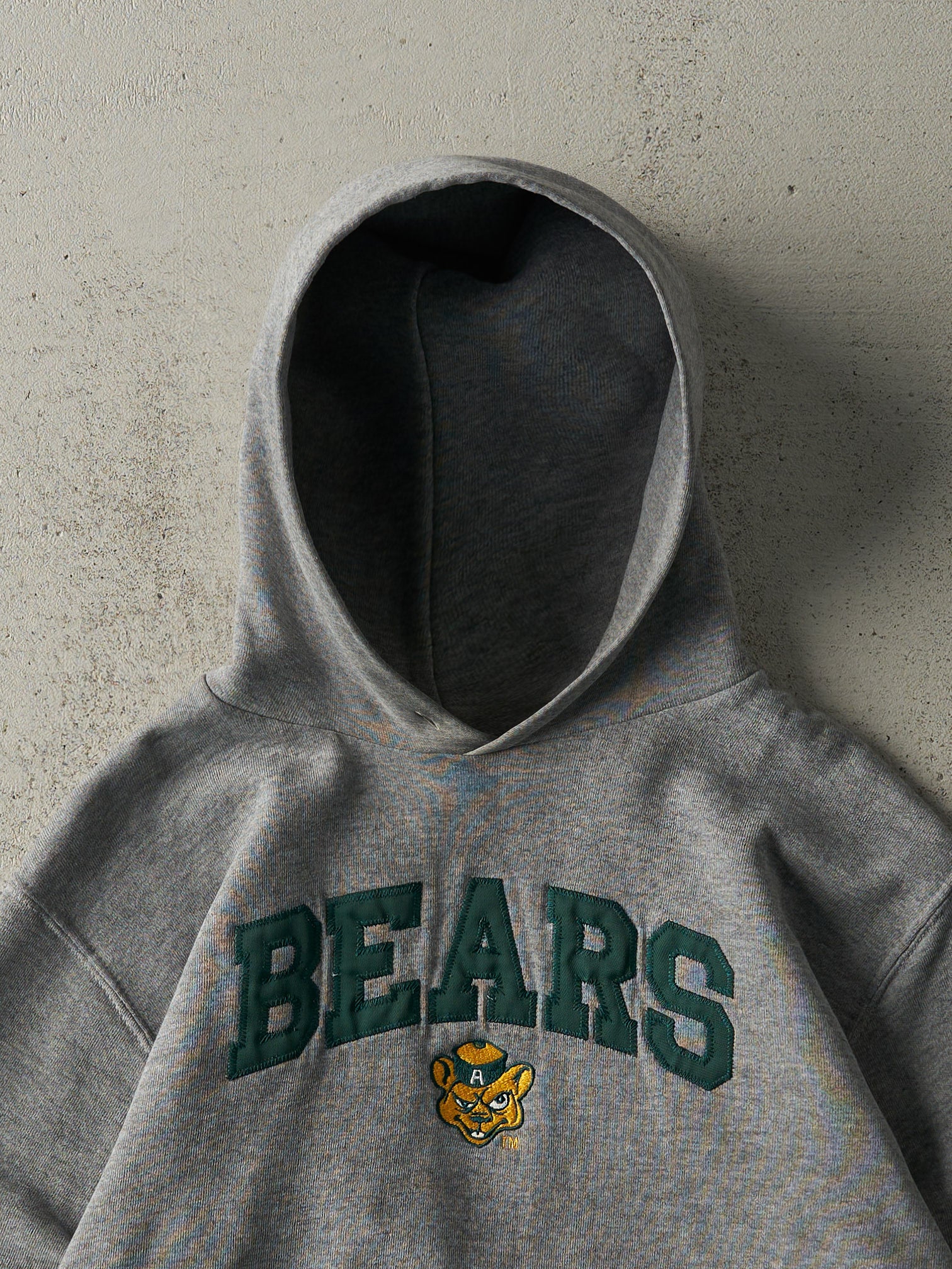 Vintage Y2K Grey Embroidered Bears Russell Athletics Hoodie (S)