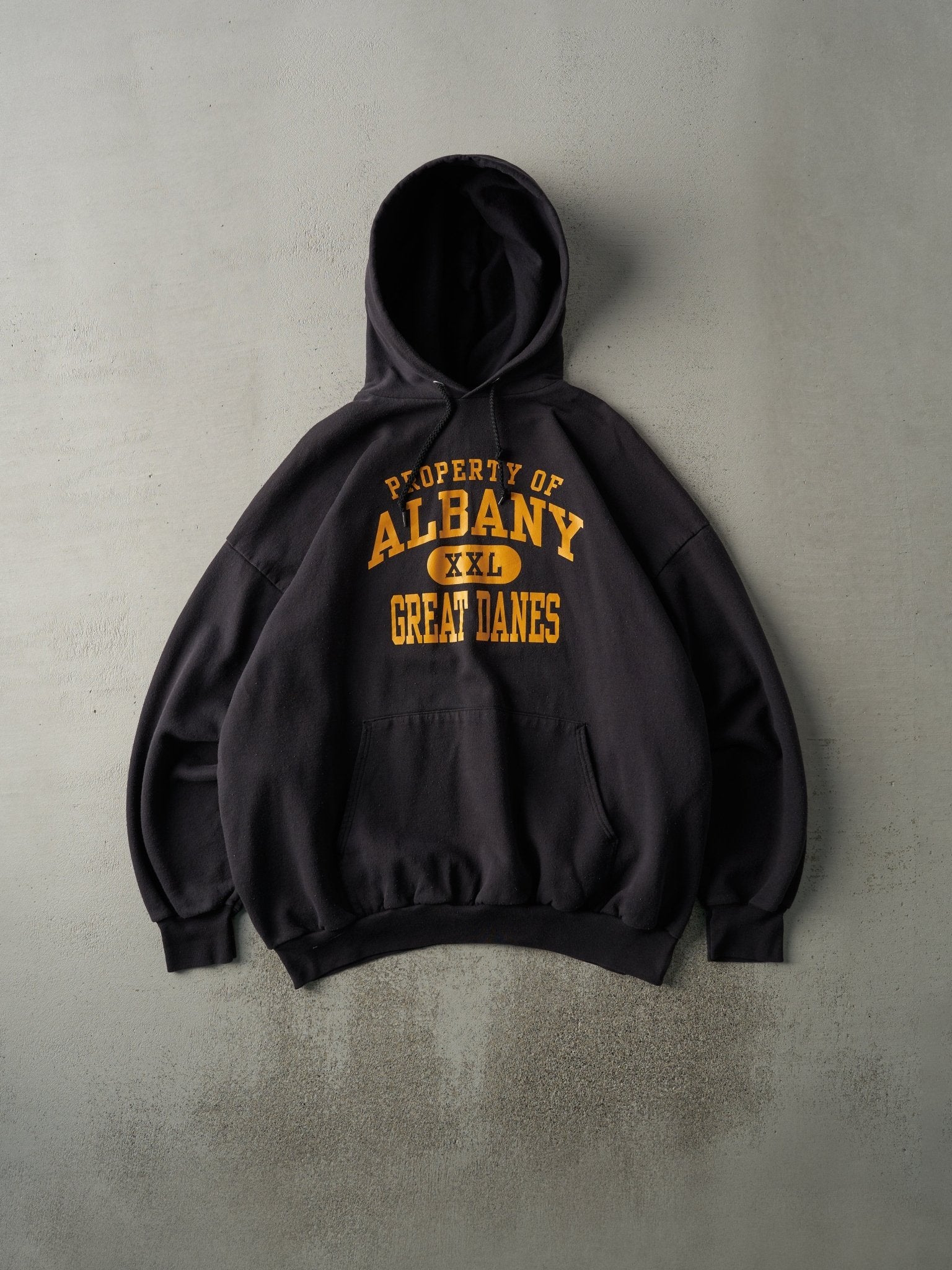 Vintage Y2K Black Albany Great Danes Hoodie (XXL)