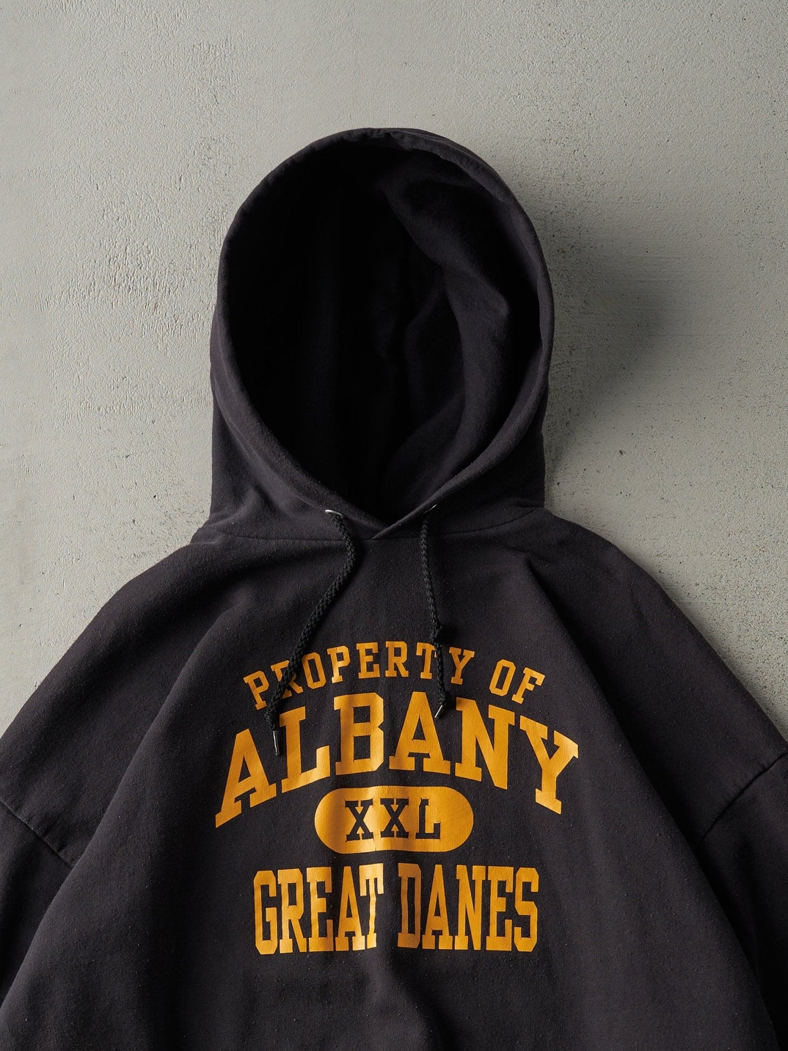 Vintage Y2K Black Albany Great Danes Hoodie (XXL)