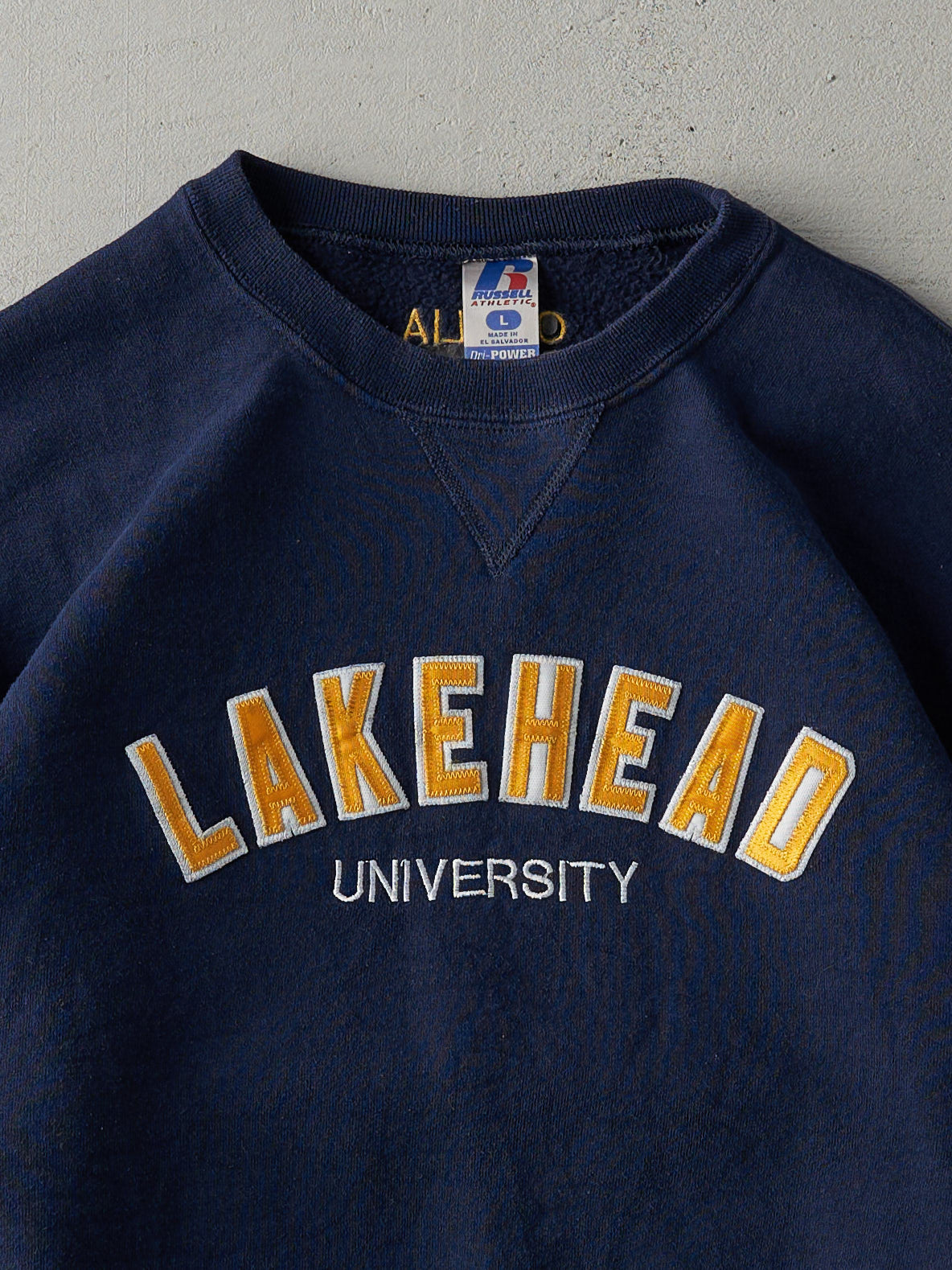 Vintage Y2K Navy Blue Lakehead University Russell Athletic Crewneck (M/L)