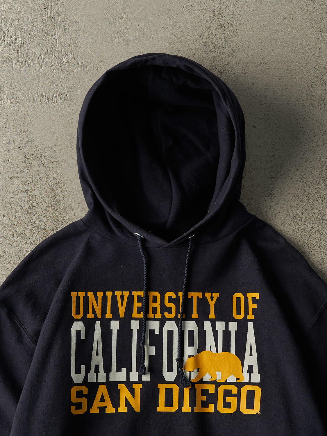 Vintage Y2K Navy Blue University of California San Diego Champion Hoodie (L/XL)