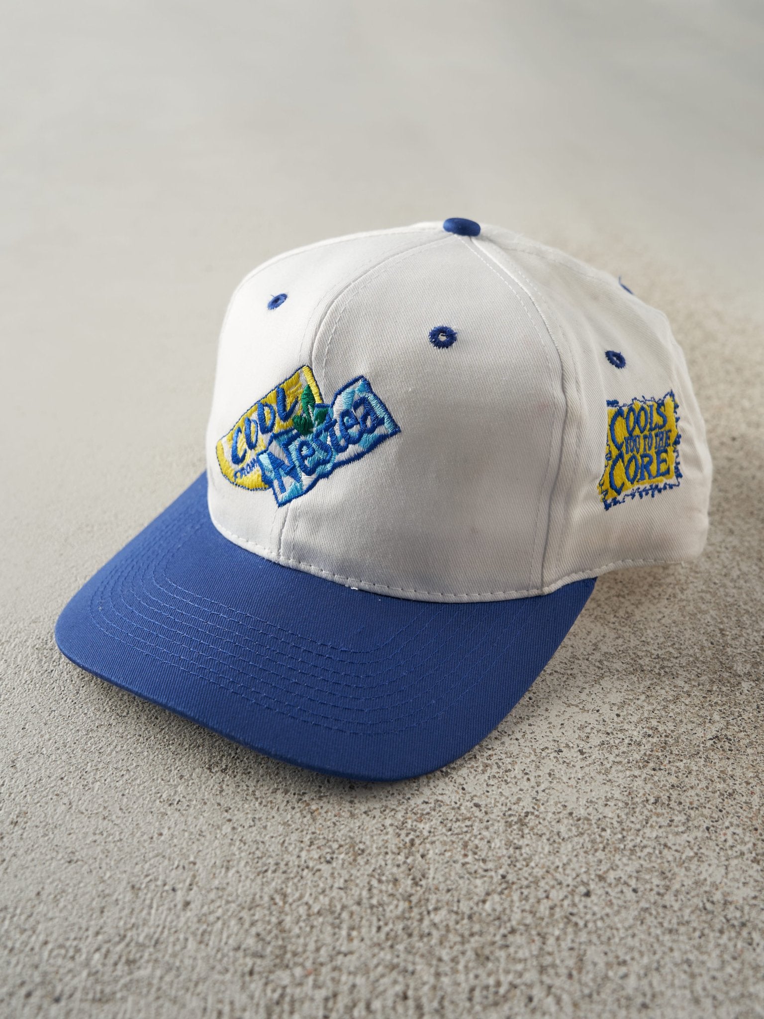 Vintage 90s White & Blue Embroidered Nestea Snap Back