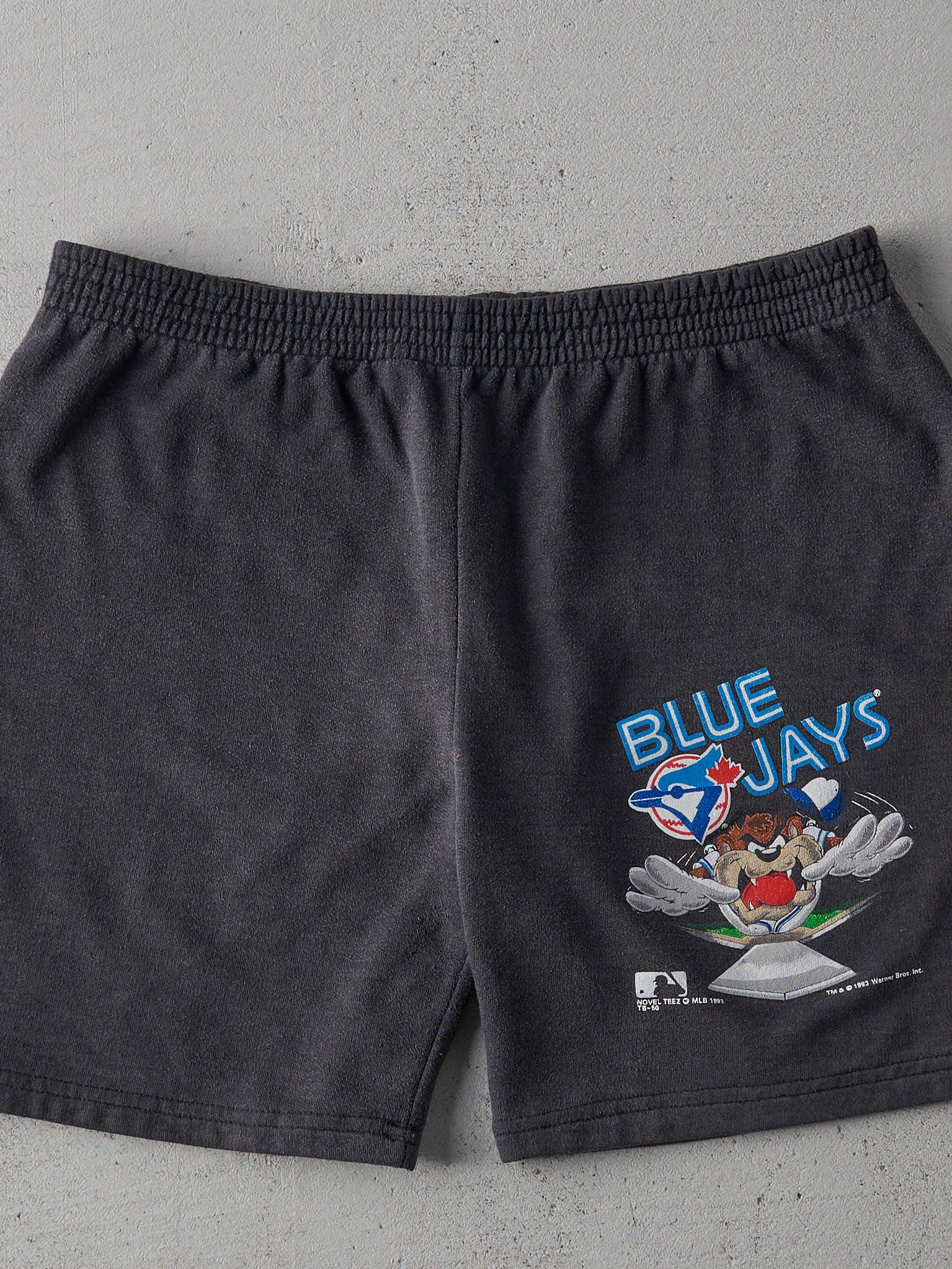 Vintage 93' Charcoal Grey RARE Looney Tunes/ Blue Jays Shorts (33x6.5)