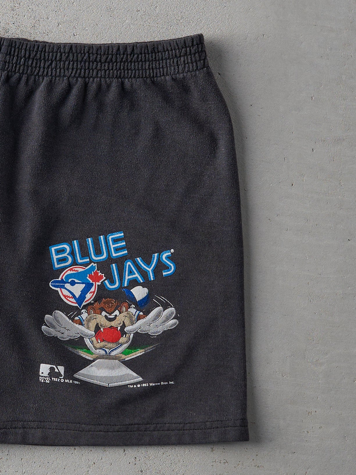 Vintage 93' Charcoal Grey RARE Looney Tunes/ Blue Jays Shorts (33x6.5)
