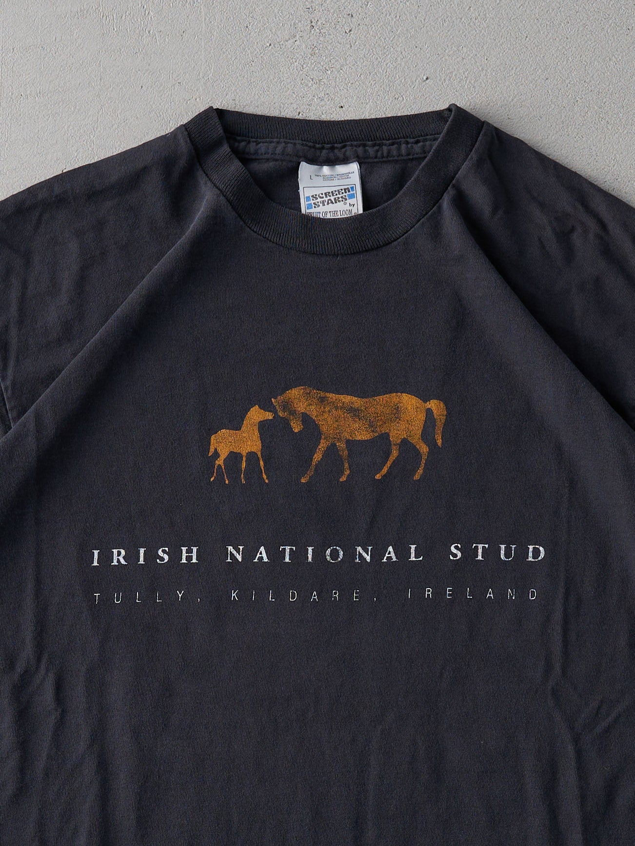 Vintage 90s Faded Black Irish National Stud Single Stitch Tee (M)