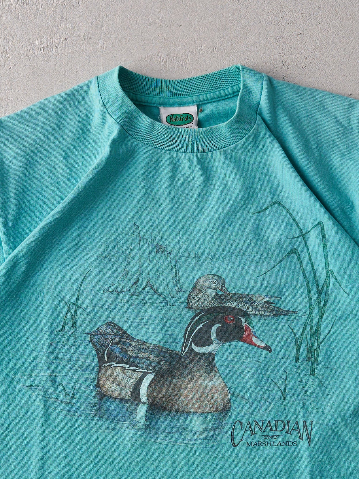Vintage 90s Tiffany Blue Canadian Nature Single Stitch Tee (M)