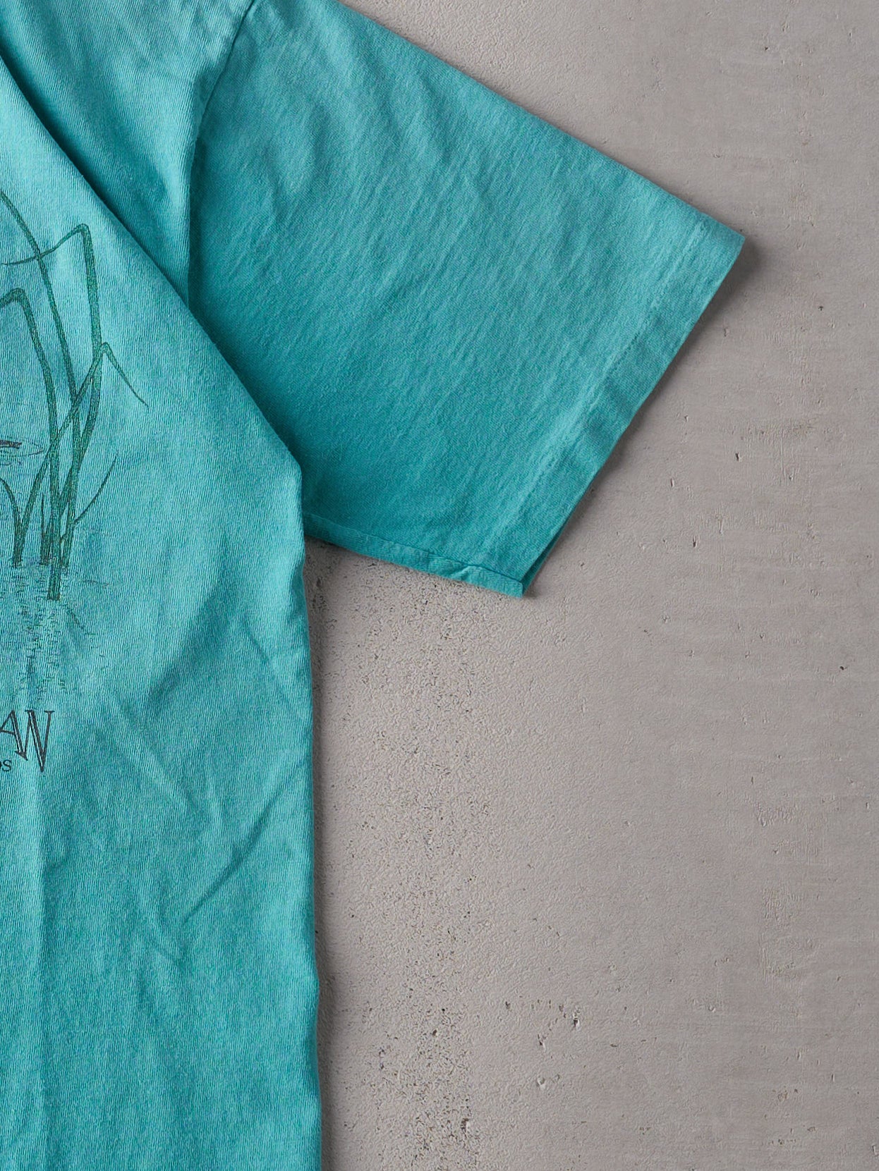 Vintage 90s Tiffany Blue Canadian Nature Single Stitch Tee (M)