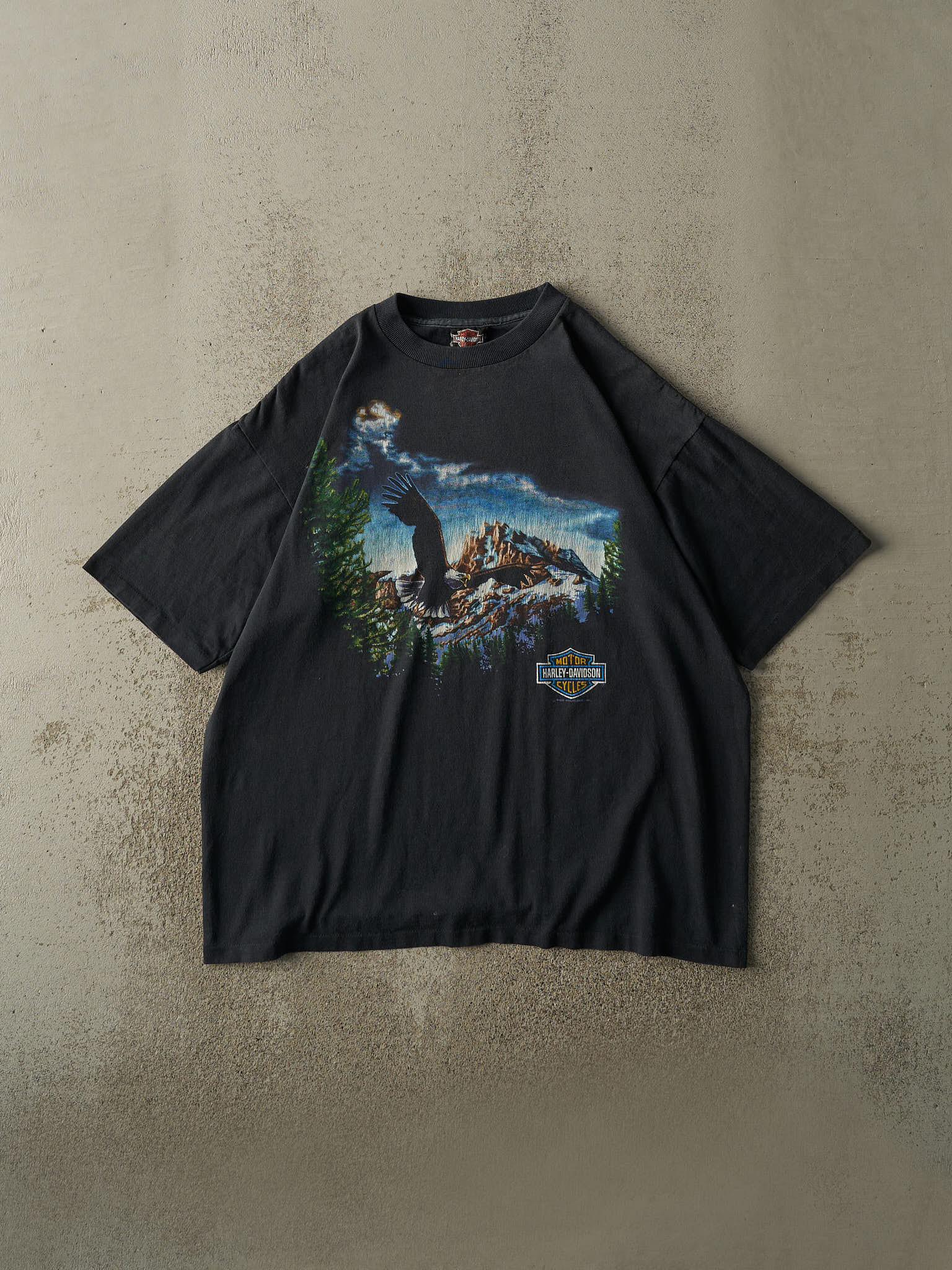 Vintage 89' Faded Black Toledo Ohio Harley Davidson Single Stitch Tee (L/XL)