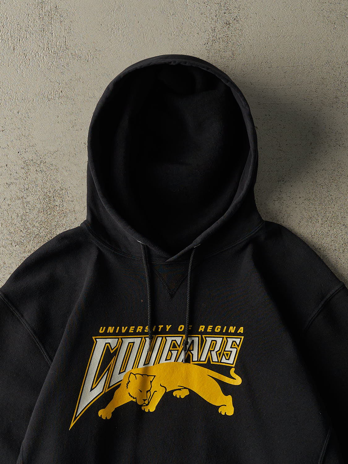 Vintage Y2K Black University of Regina Cougars Russell Athletic Hoodie (L/XL)