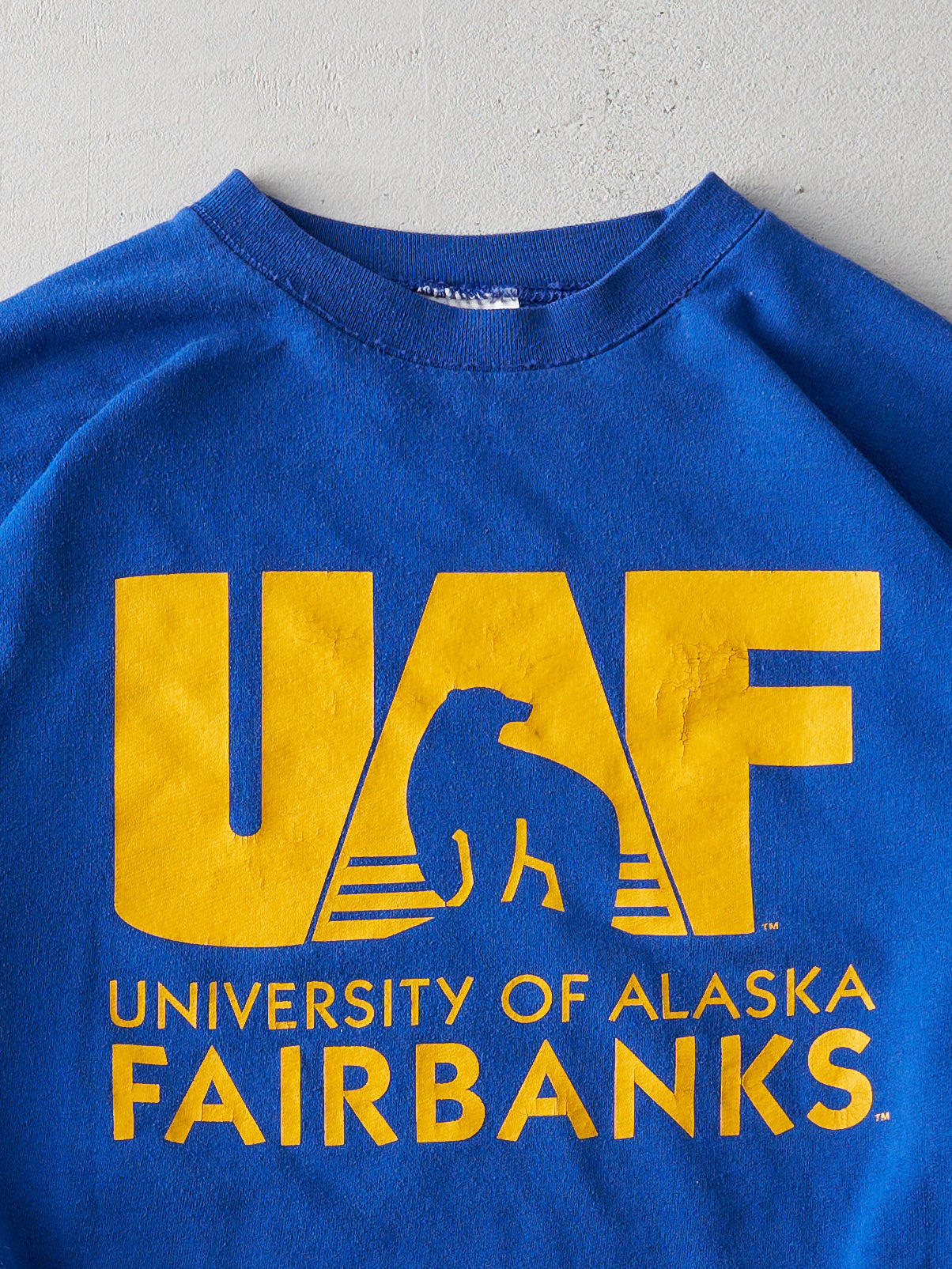Vintage 90s Royal Blue University of Alaska Fairbanks Boxy Crewneck (L)