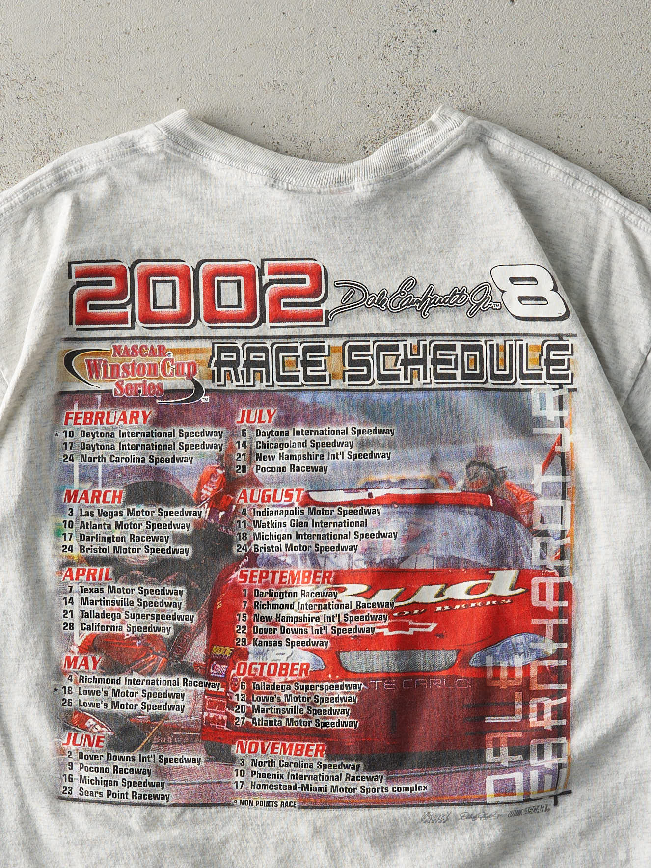Vintage 02' Heather Grey Dale Earnhardt Jr. Nascar Racing Tee (M/L)