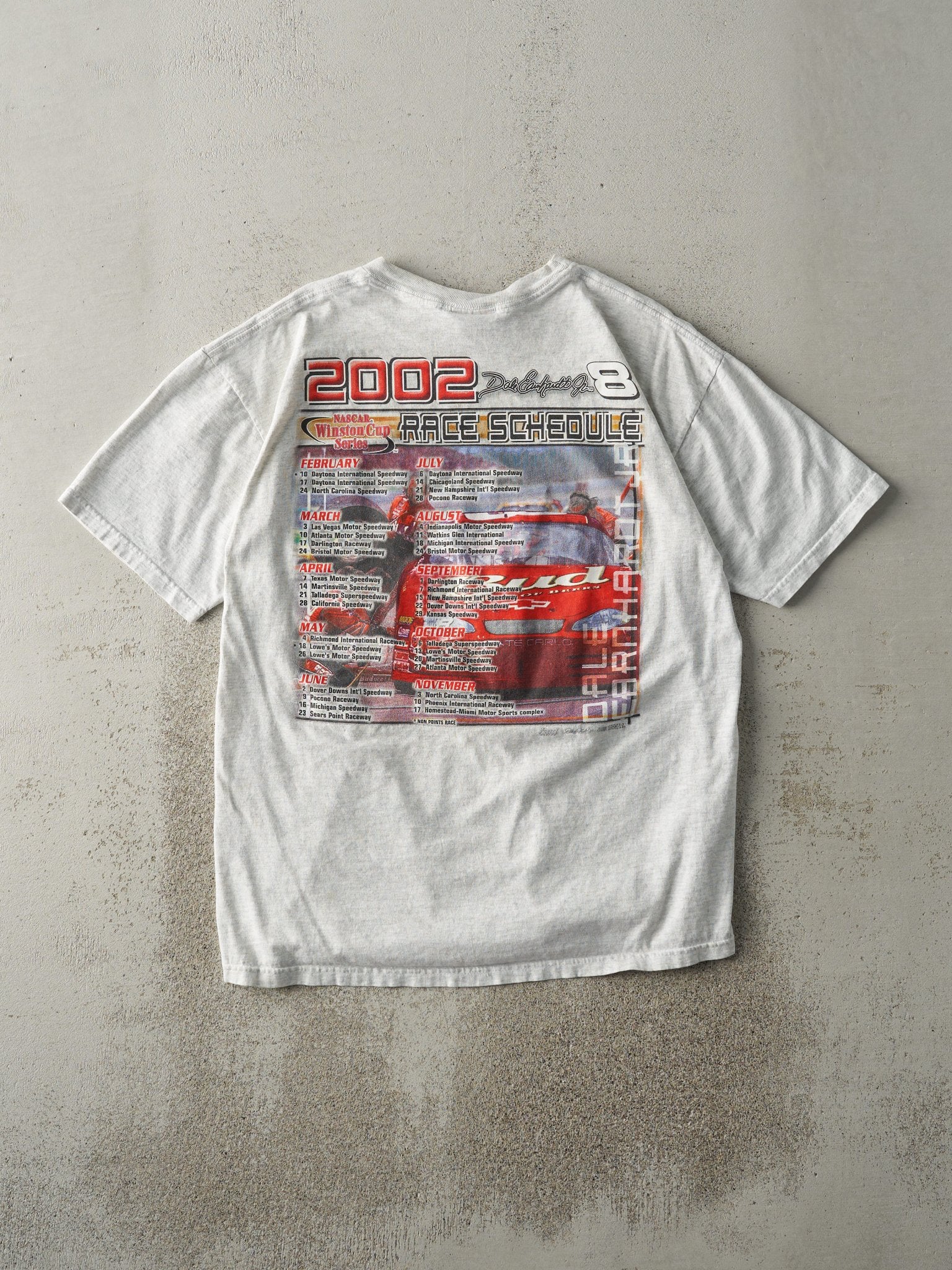 Vintage 02' Heather Grey Dale Earnhardt Jr. Nascar Racing Tee (M/L)