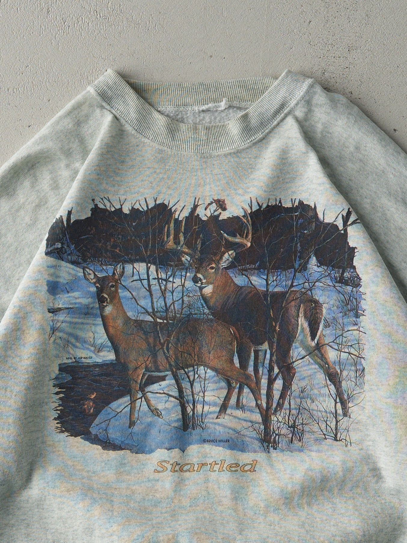 Vintage 90s Heather Grey Bruce Miller Photography Nature Scene Crewneck (L)