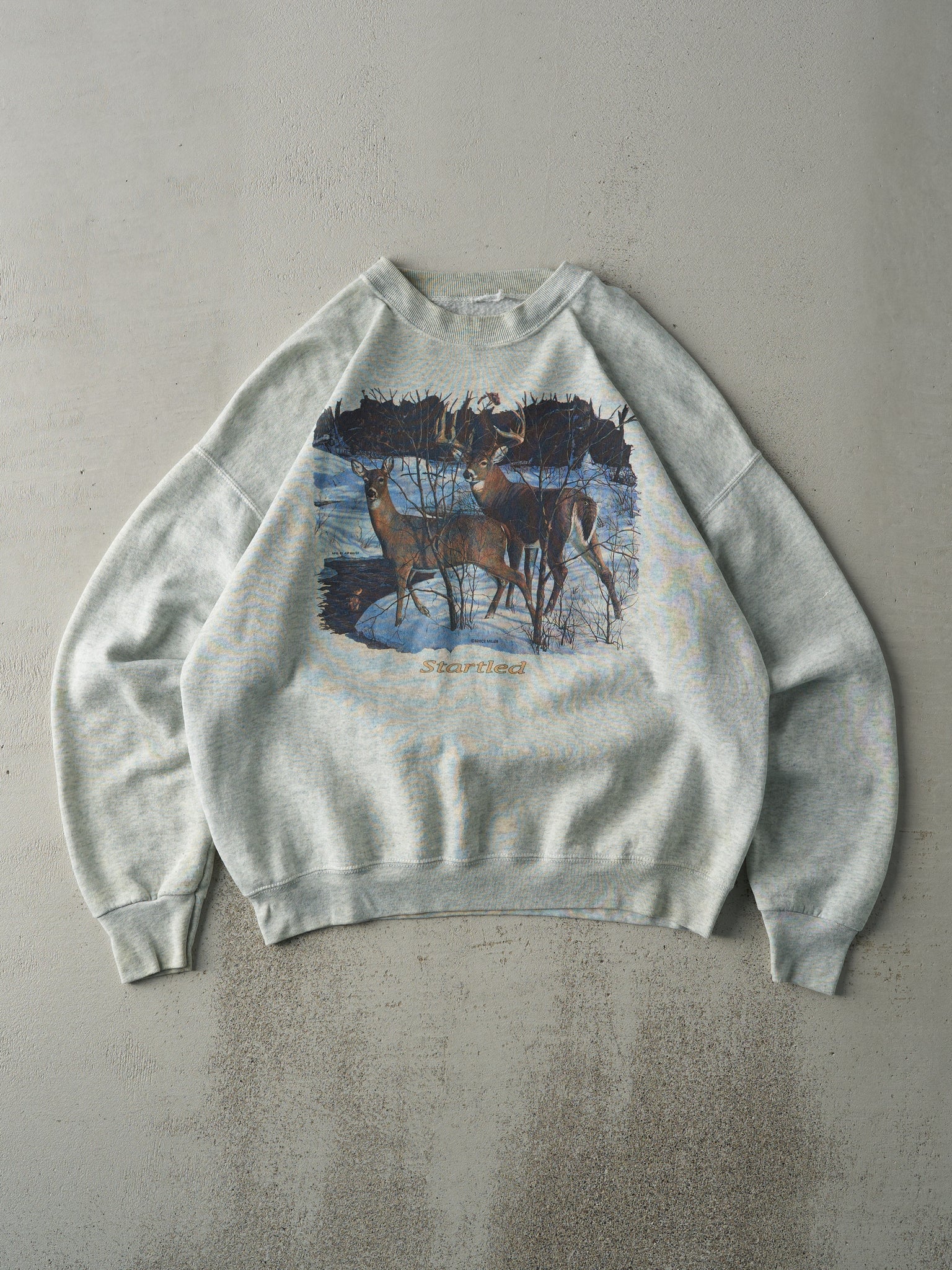 Vintage 90s Heather Grey Bruce Miller Photography Nature Scene Crewneck (L)