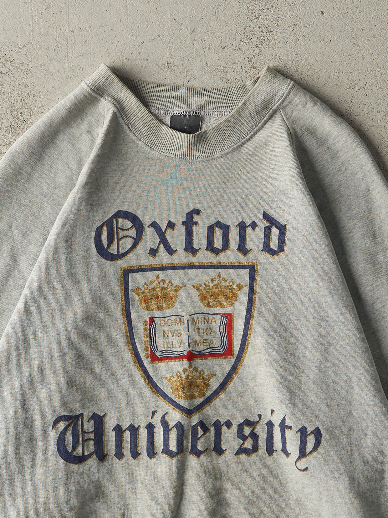 Vintage 90s Heather Grey Oxford University Crewneck (L)