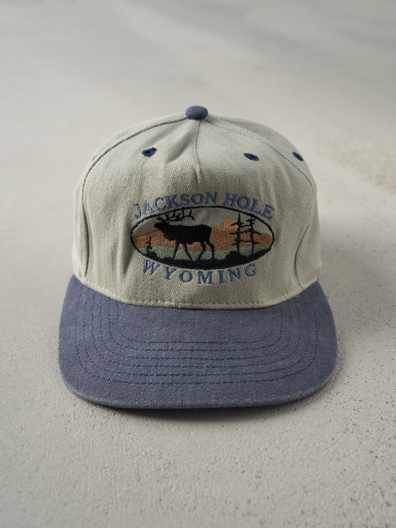 Vintage 90s Beige and Blue Jackson Hole Wyoming Strapback Hat