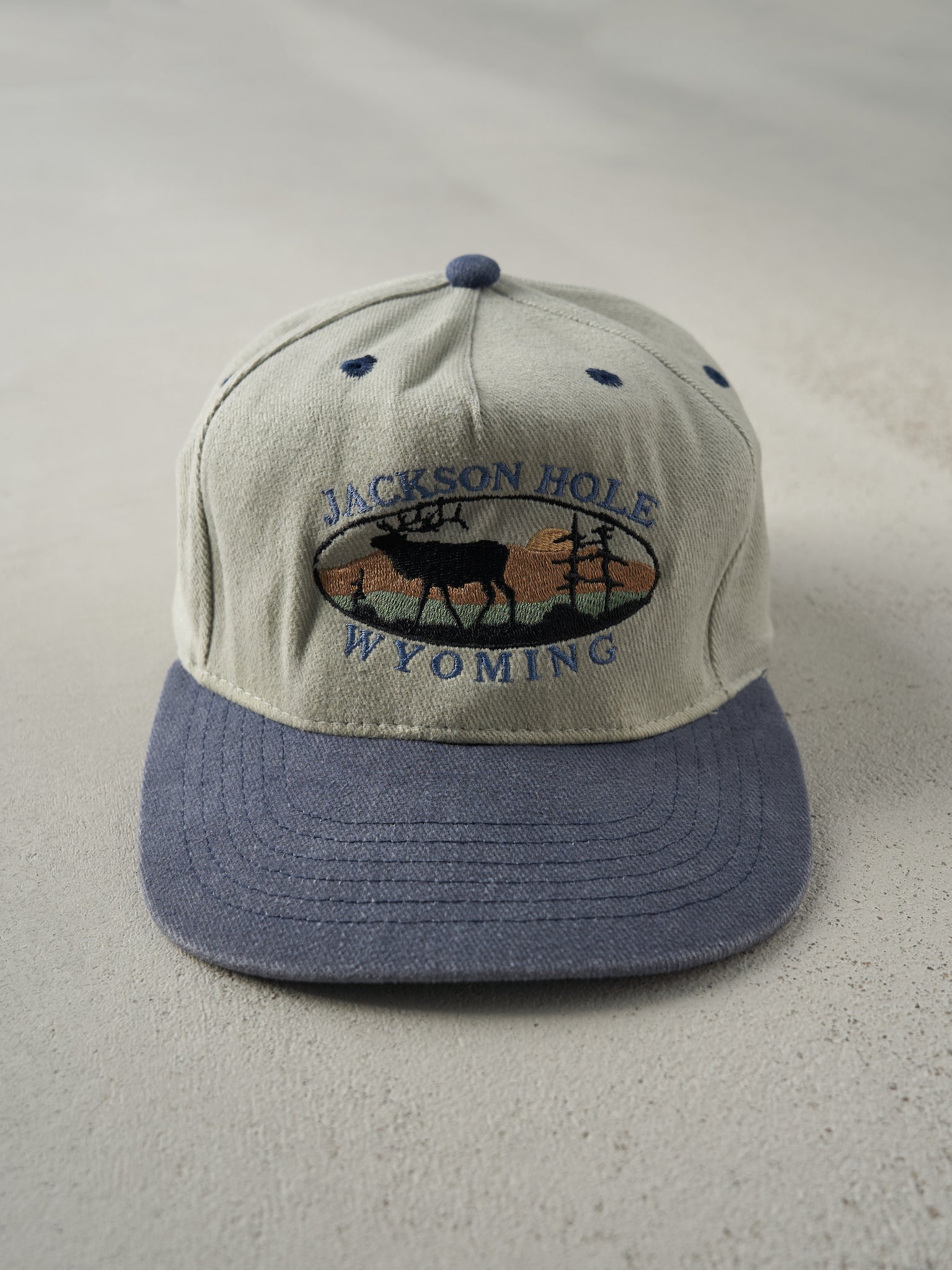 Vintage 90s Beige and Blue Jackson Hole Wyoming Strap Back Hat