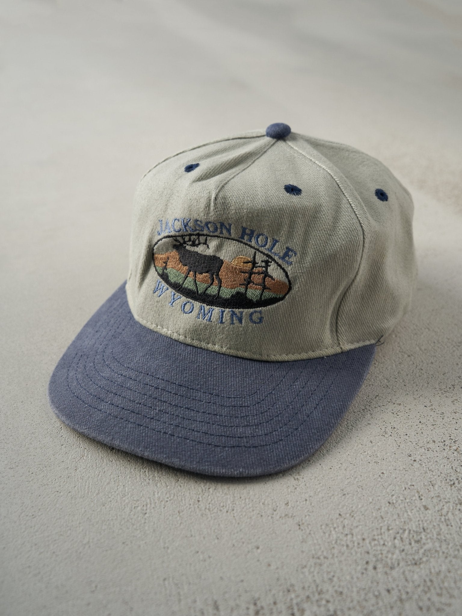 Vintage 90s Beige and Blue Jackson Hole Wyoming Strapback Hat