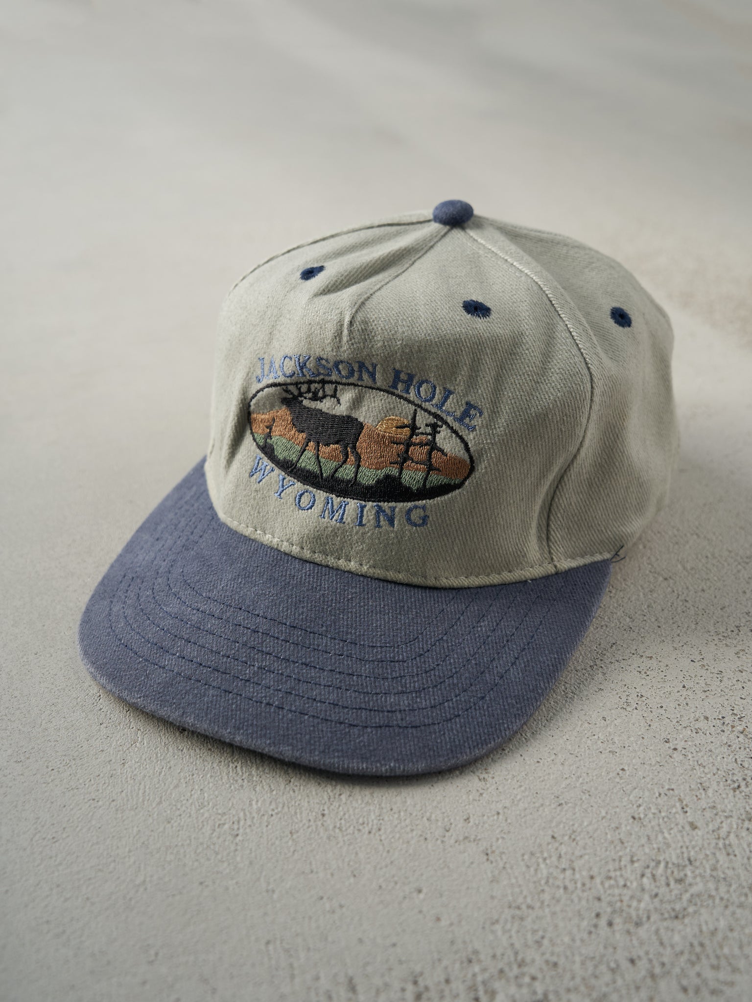 Vintage 90s Beige and Blue Jackson Hole Wyoming Strap Back Hat