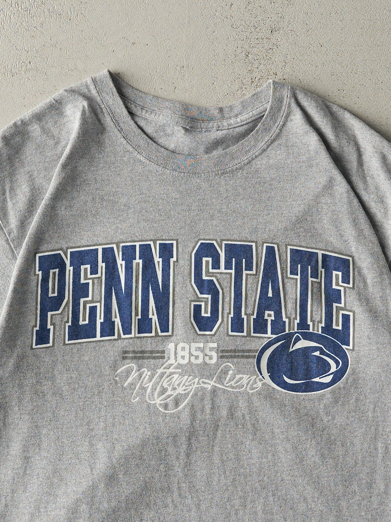 Vintage Y2K Grey Penn State Nittany Lions Tee (M)