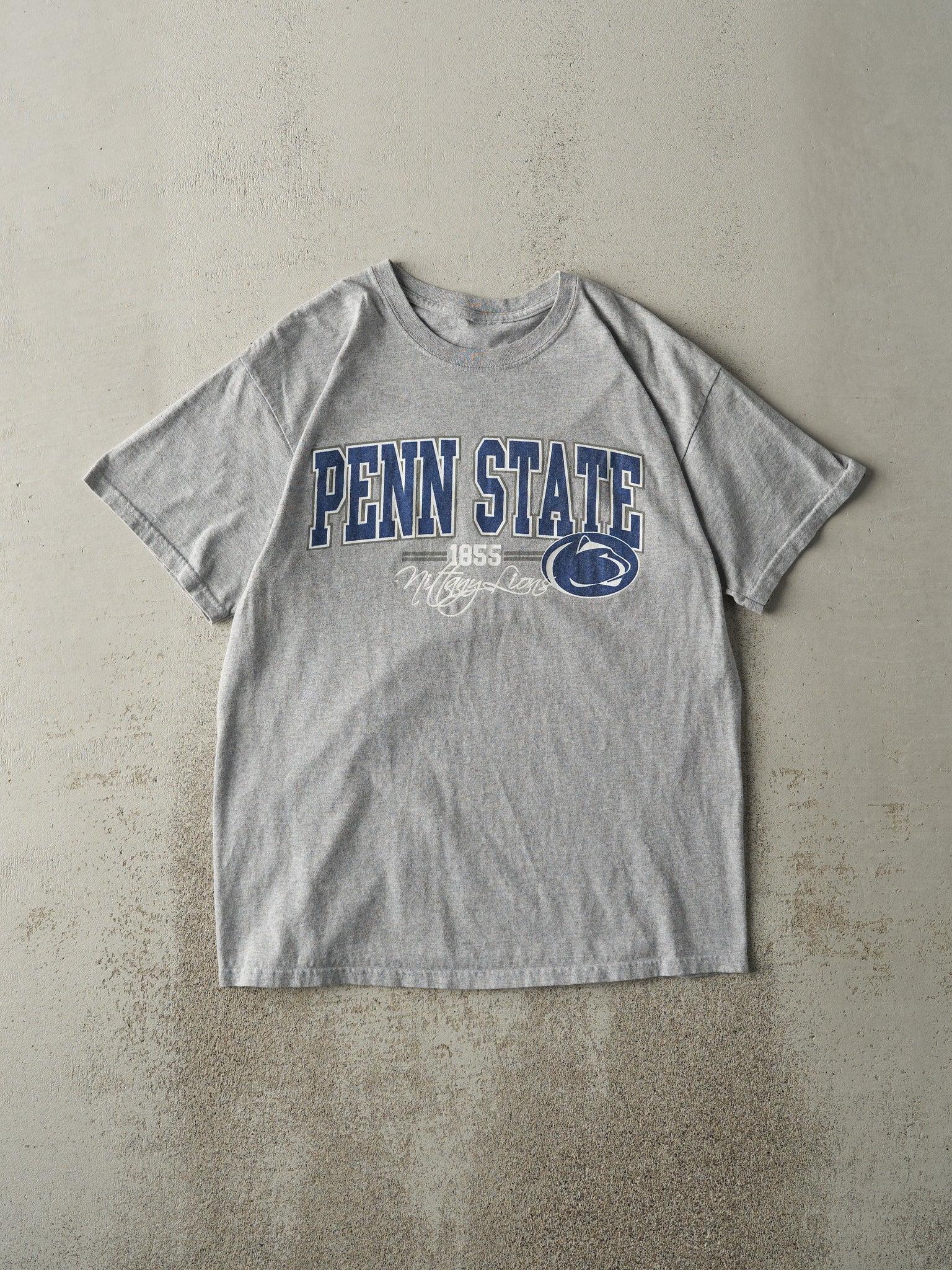 Vintage Y2K Grey Penn State Nittany Lions Tee (M)