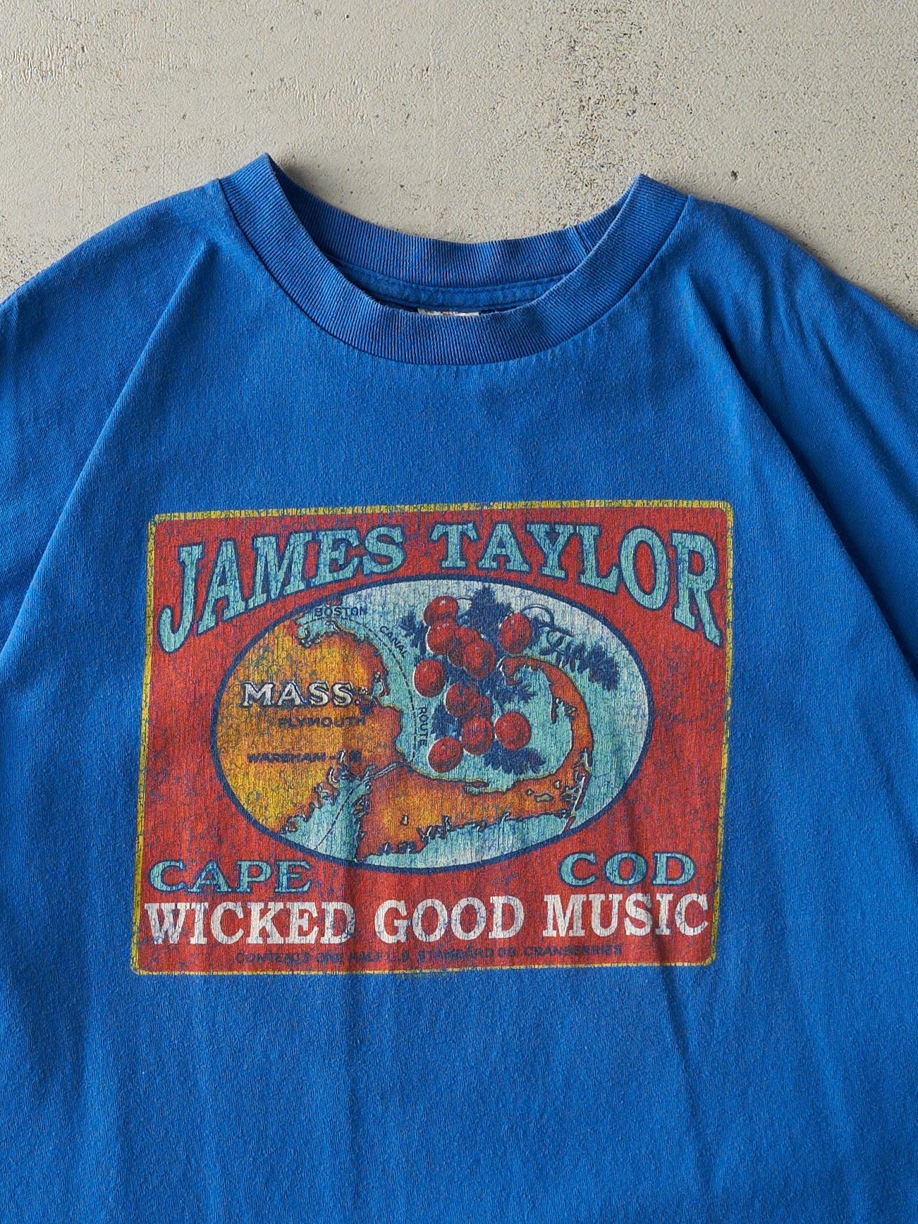 Vintage Y2K Blue James Taylor Tee (L/XL)