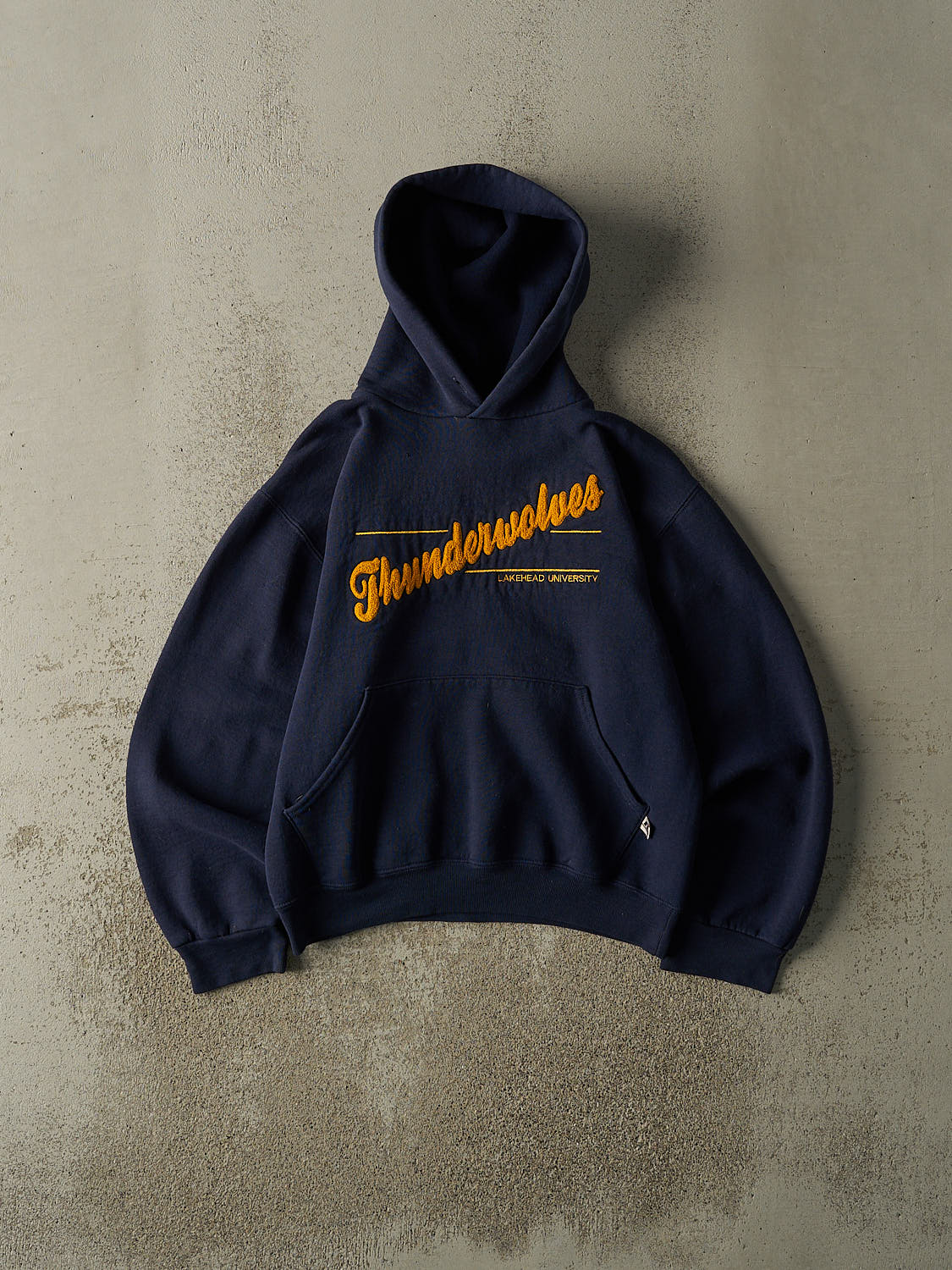 Vintage Y2K Navy Blue Lakehead University Thunderwolves Russell Athletic Embroidered Hoodie (XS/S)