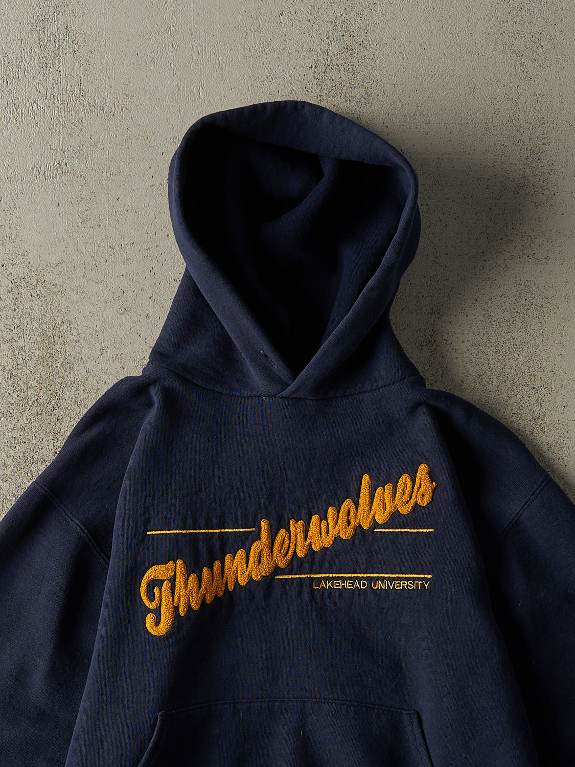 Vintage Y2K Navy Blue Lakehead University Thunderwolves Russell Athletic Embroidered Hoodie (XS/S)