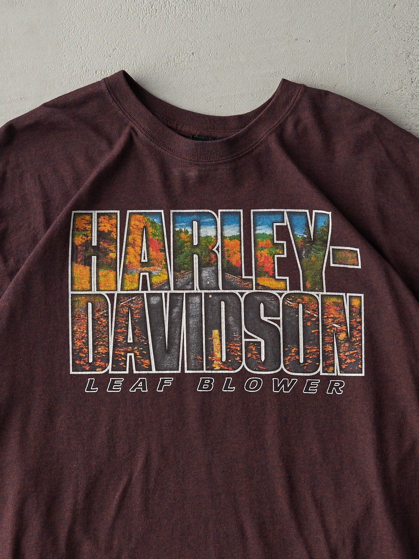 Vintage Brown Bangor Maine Harley Davidson Fall Tee (M)