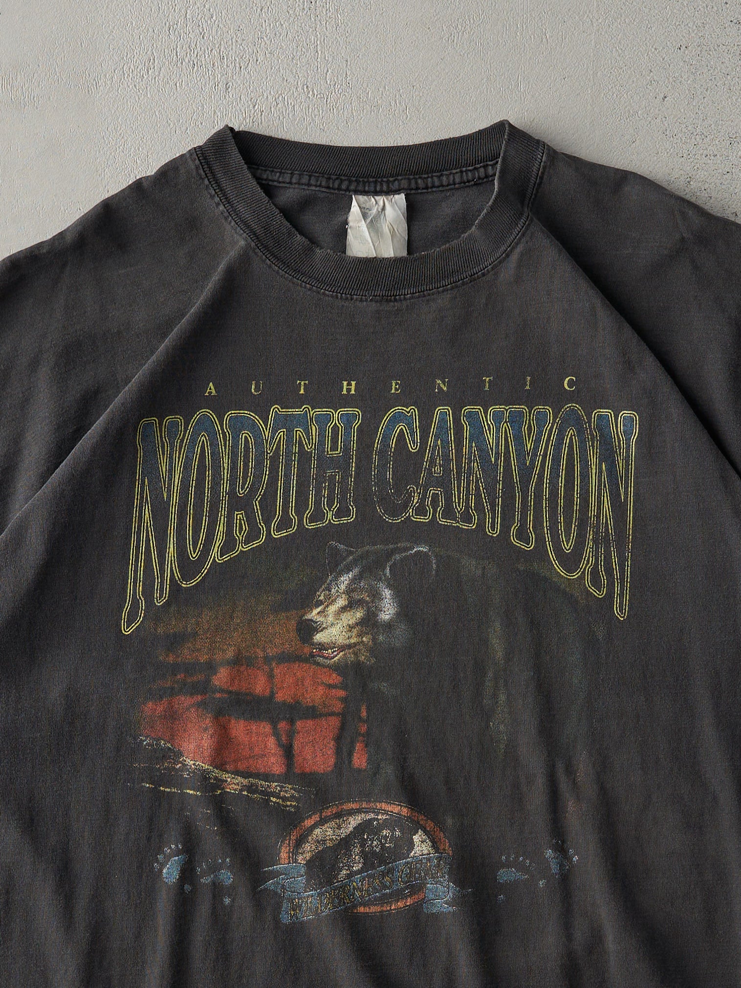 Vintage 90s Faded Black North Canyon Bear Tee (XL)