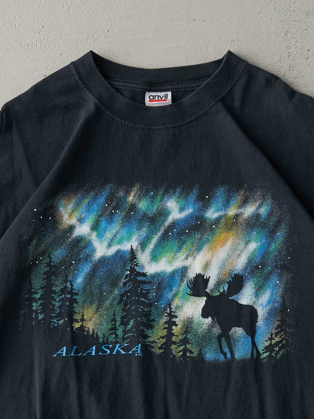 Vintage Y2K Black Alaska Moose Tee (L)