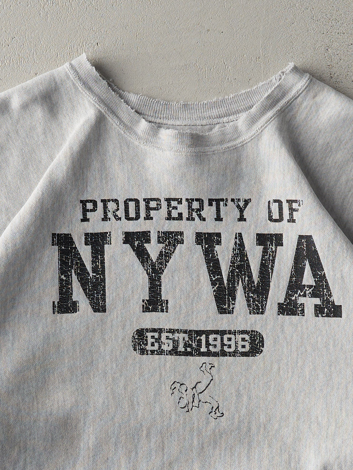 Vintage Y2K Heather Grey Champions Reverse Weave NYWA Wrestling Boxy Crewneck (L)