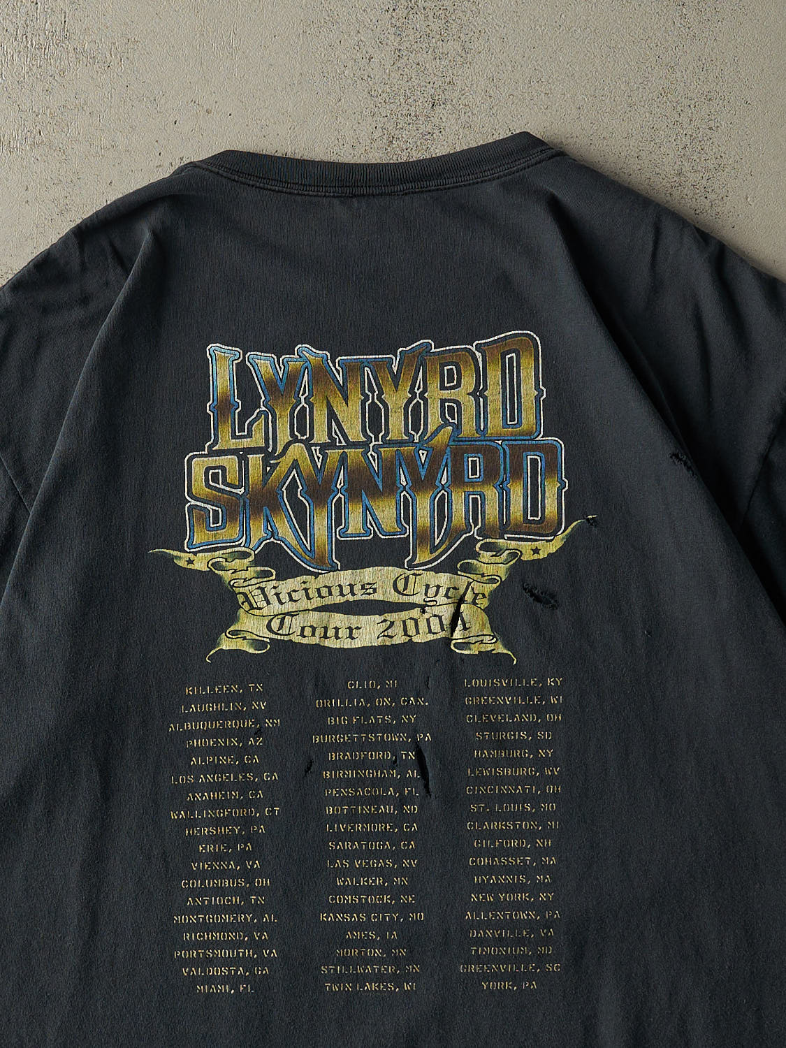 Vintage 04' Faded Black Lynyrd Skynyrd Tee (XL/XXL)