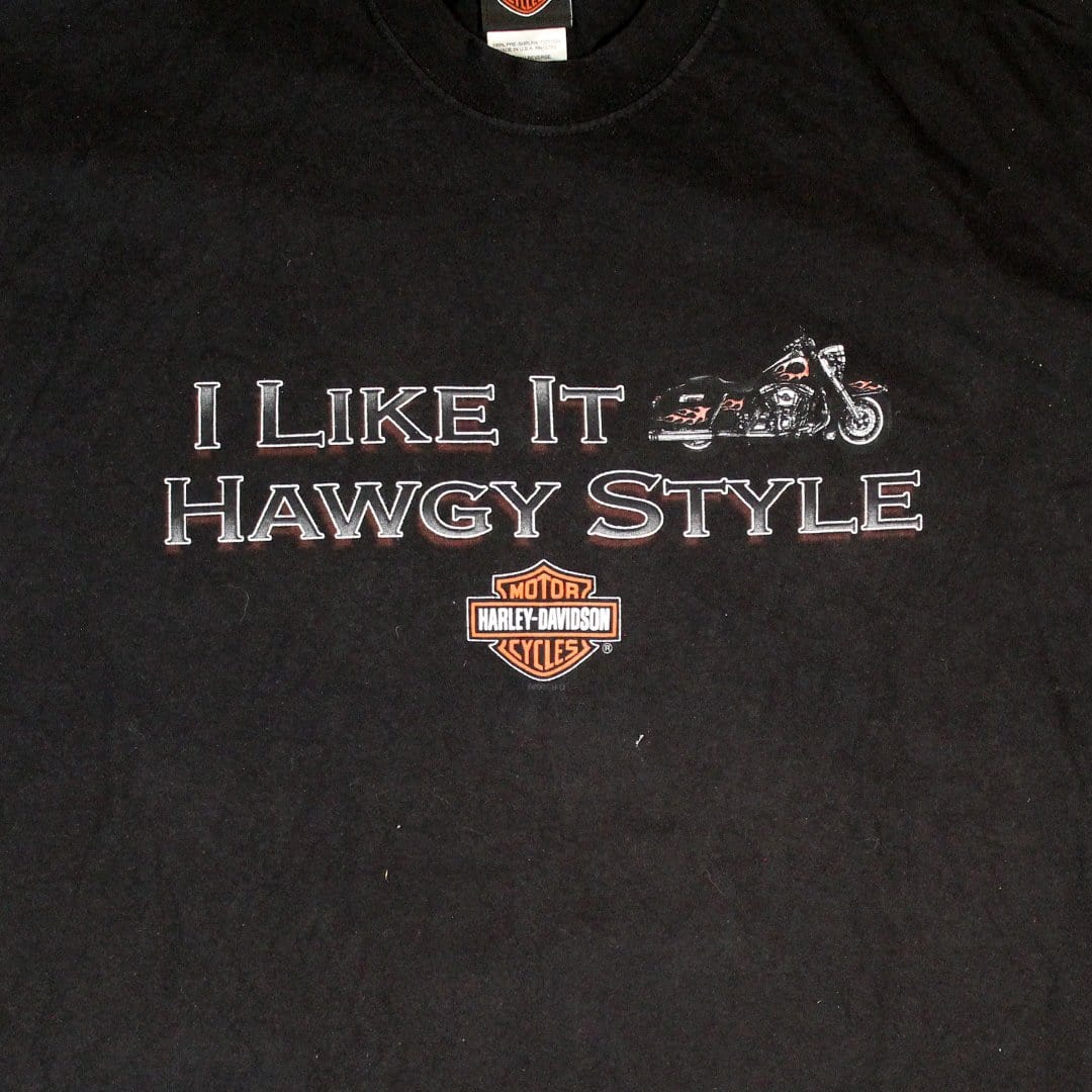 Vintage Harley Davidson ‘I like it hawgy style’ Columbus, OH Tee | Rebalance Vintage.