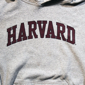 Vintage Grey Harvard Hoodie | Rebalance Vintage.