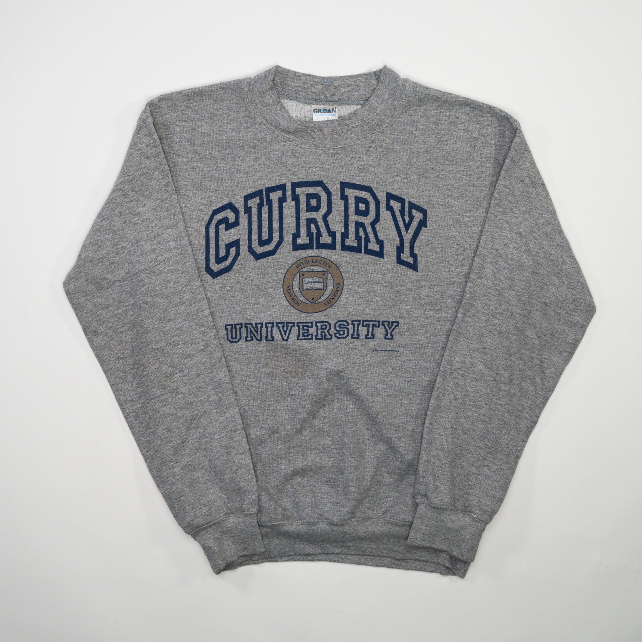 Vintage Grey Curry University Crewneck (S/M)