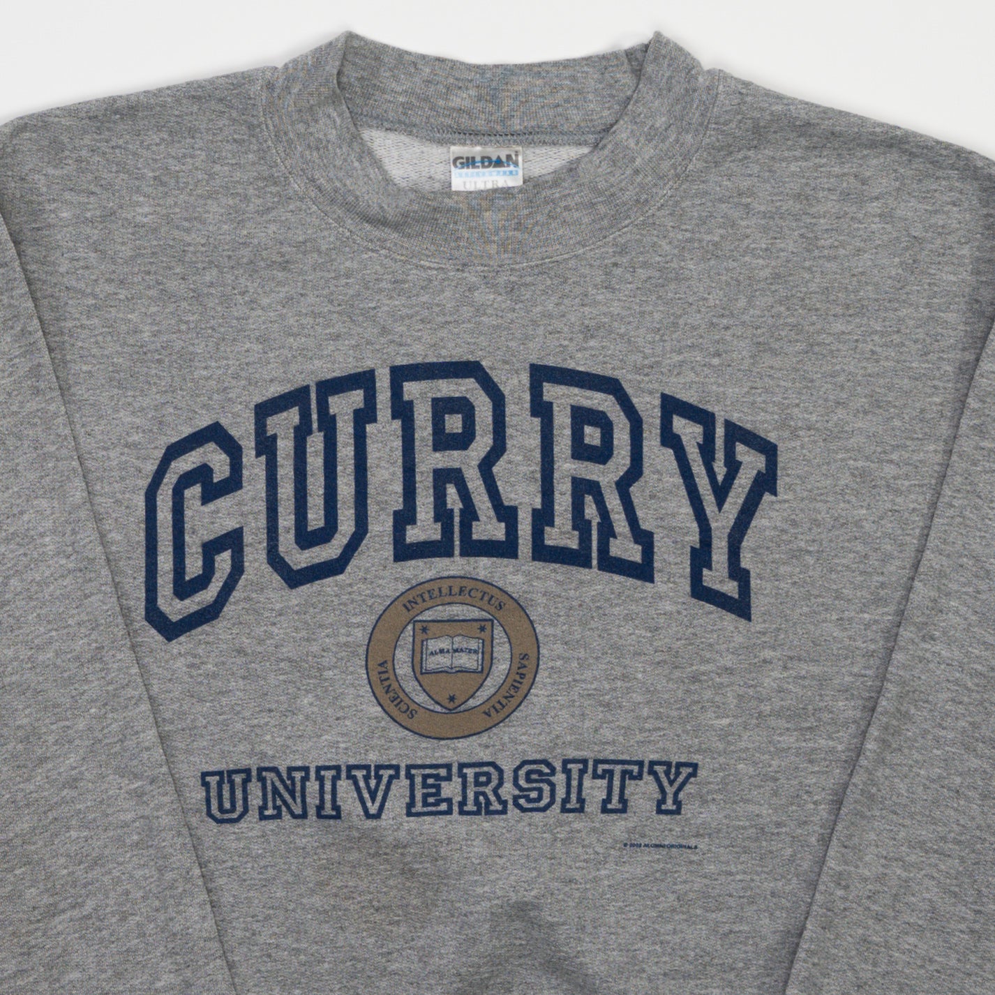 Vintage Grey Curry University Crewneck (S/M)