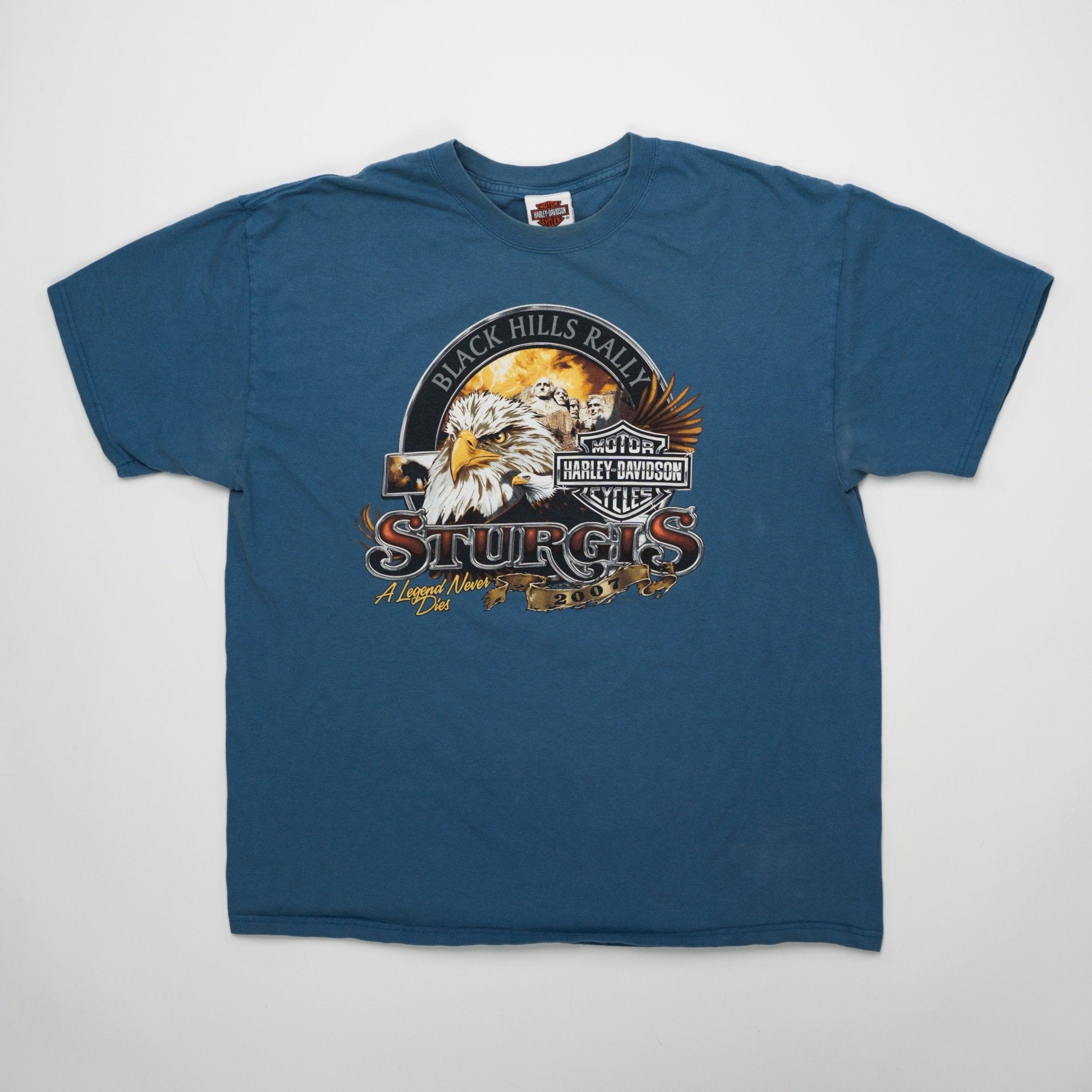 Vintage '07 Harley Davidson x Sturgis Black Hills Rally Tee (L) | Rebalance Vintage.
