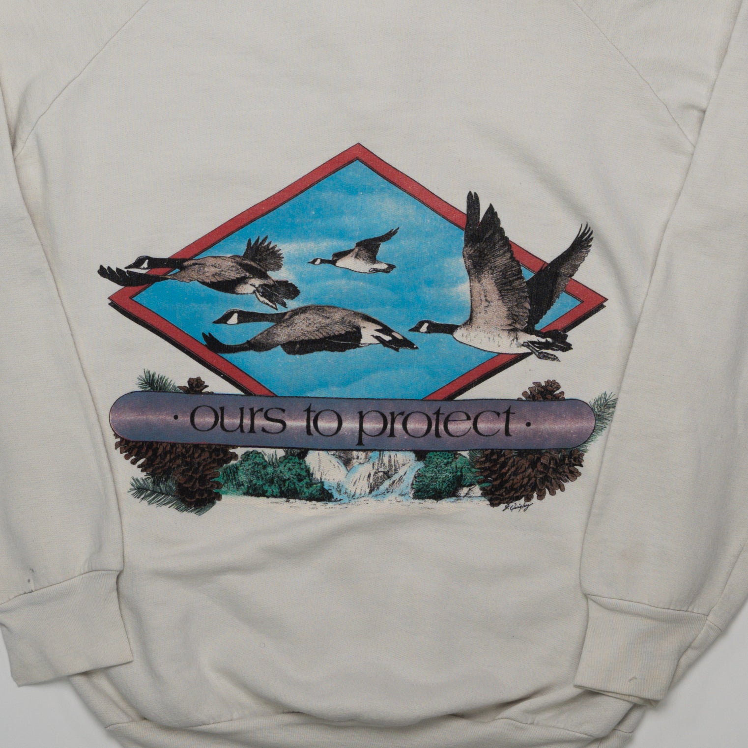 Vintage 80s 'Ours To Protect' Hoodie (S) | Rebalance Vintage.