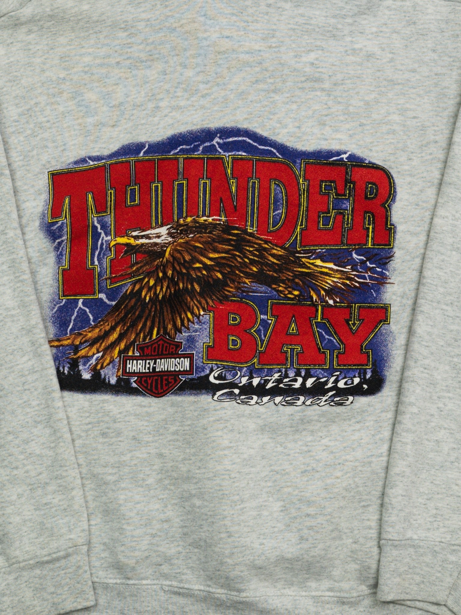 Vintage '98 Grey Harley Davidson Thunder Bay Hoodie (S/M)